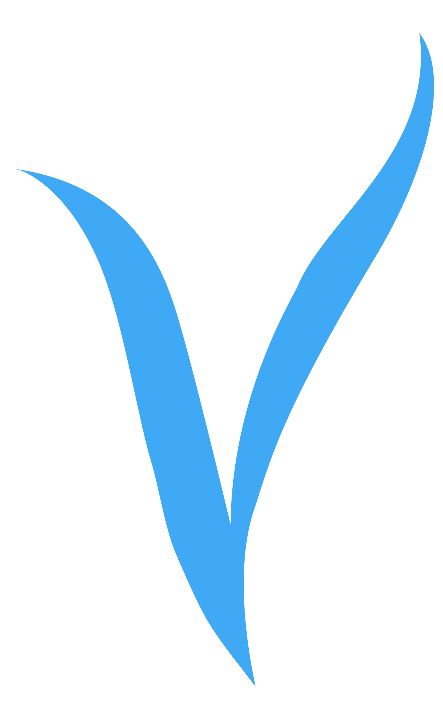 Orlando Visual Performing Arts Foundation Inc