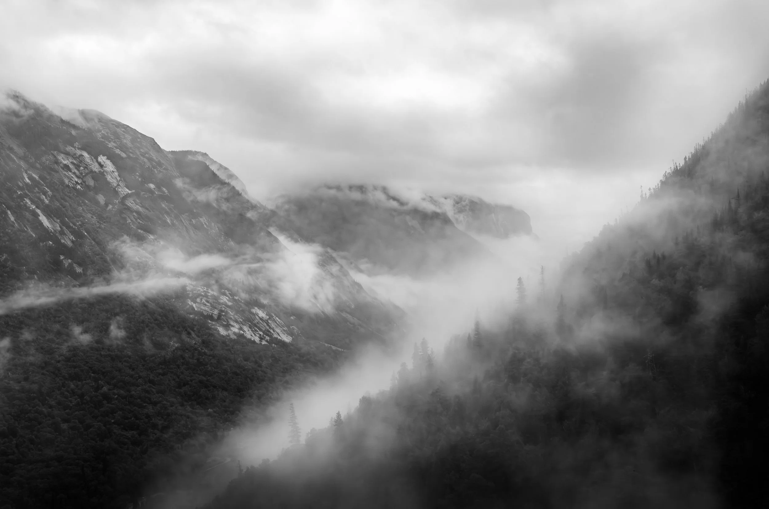 DSC_4739-Avec accentuation-Bruit.jpg