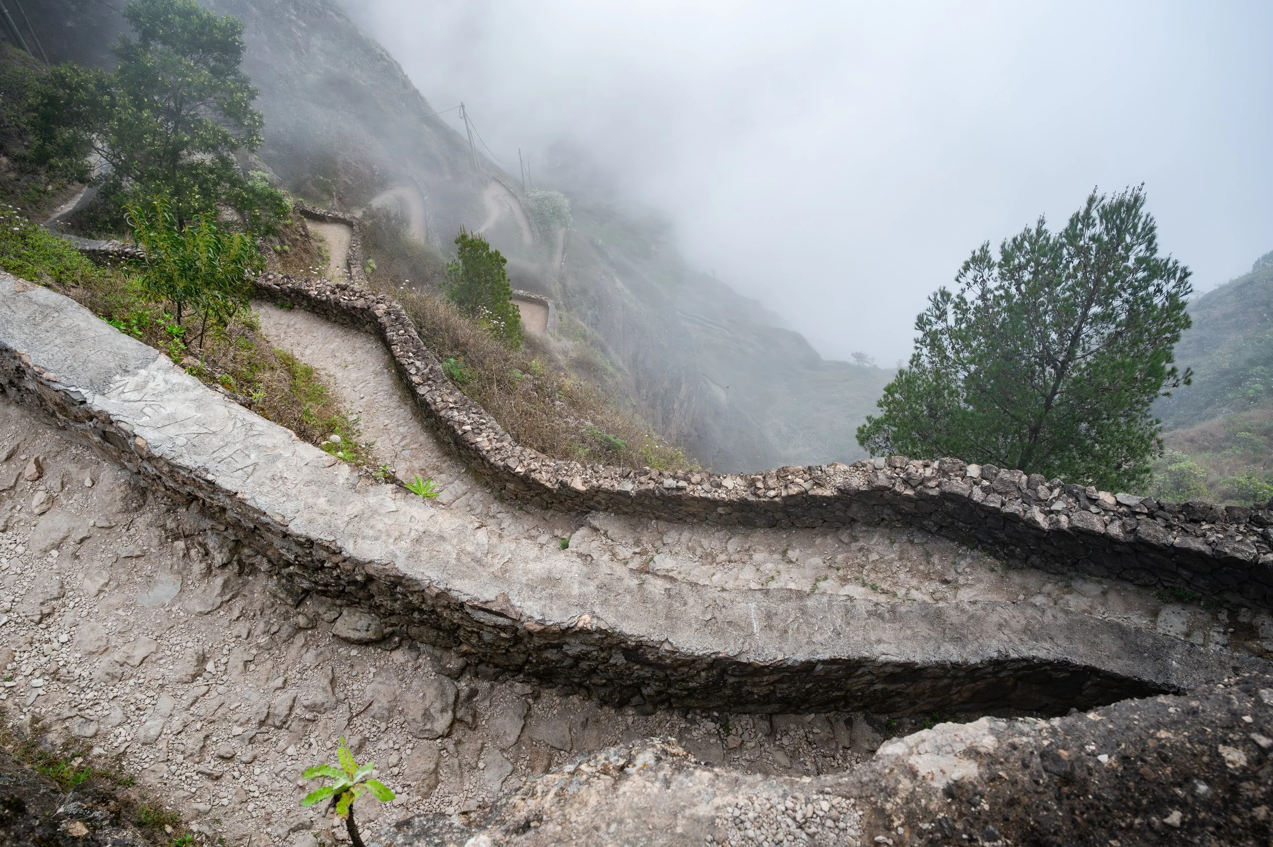 2024-04-07-DSC_5466-Avec accentuation-Bruit.jpg