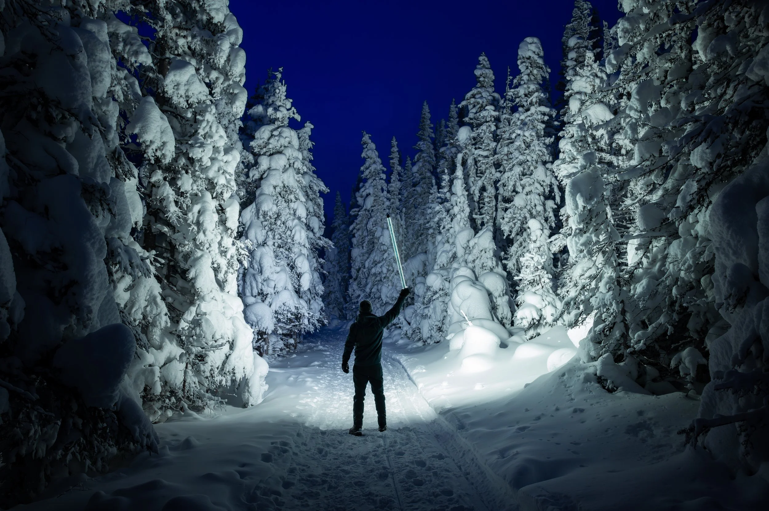 2025-01-24-DSC_2349-Avec accentuation-Bruit.jpg