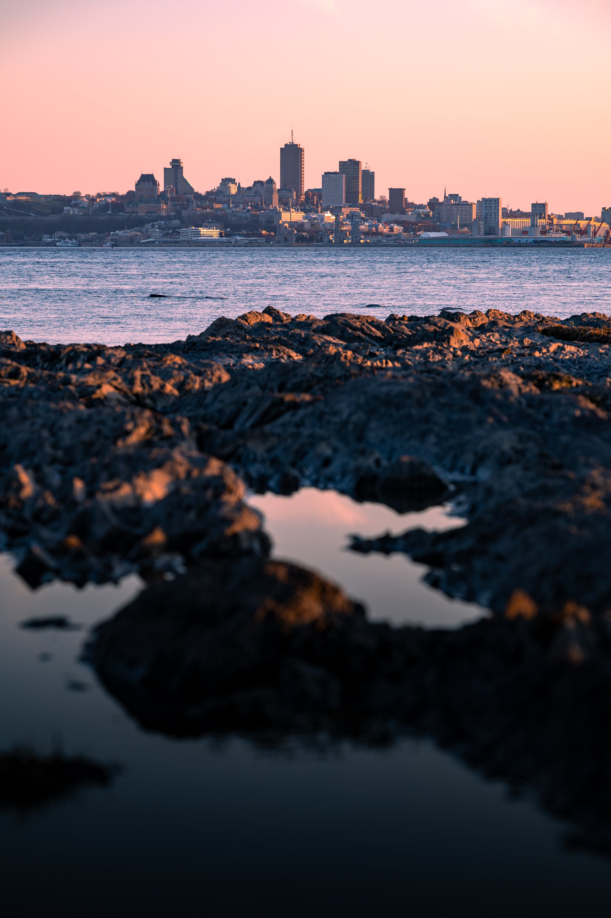 2022-05-07-DSC_2515-Avec accentuation-Bruit.jpg