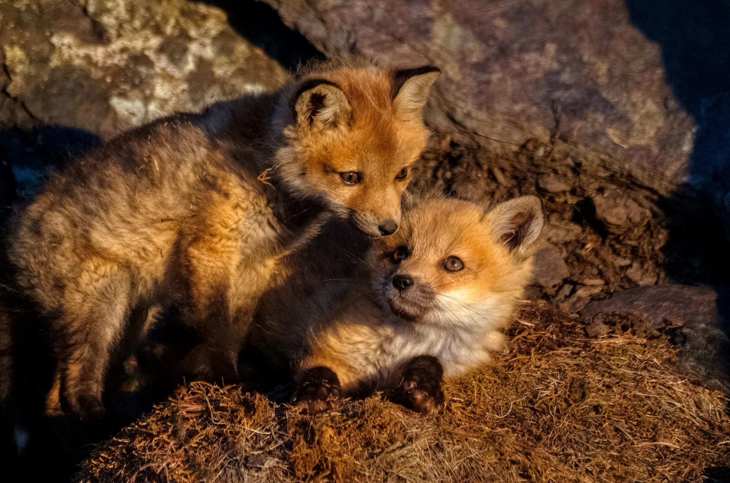 2014-06-09_2338_hdr copie.jpg