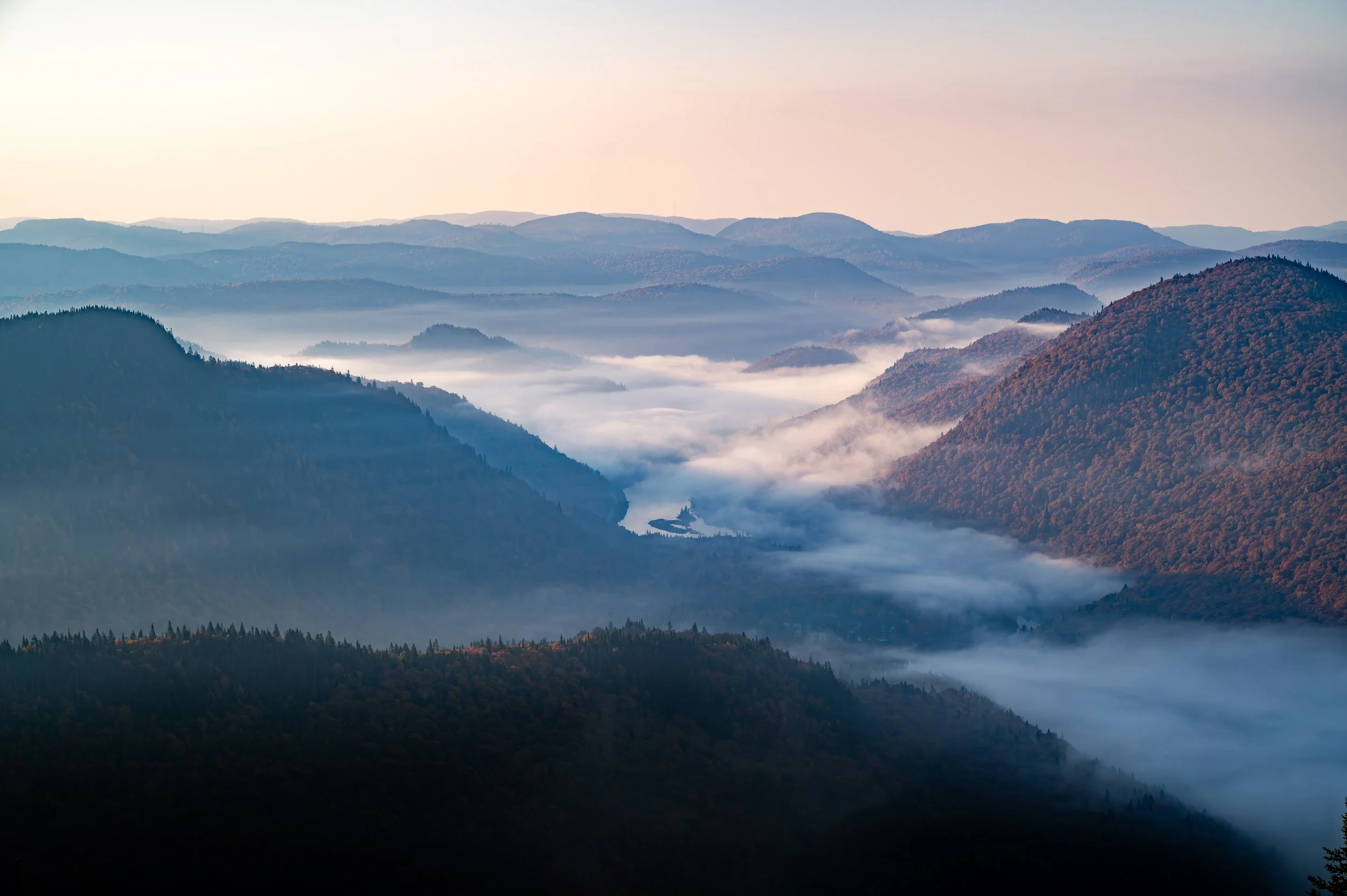 2023-10-05-DSC_9855-Avec accentuation-Bruit.jpg