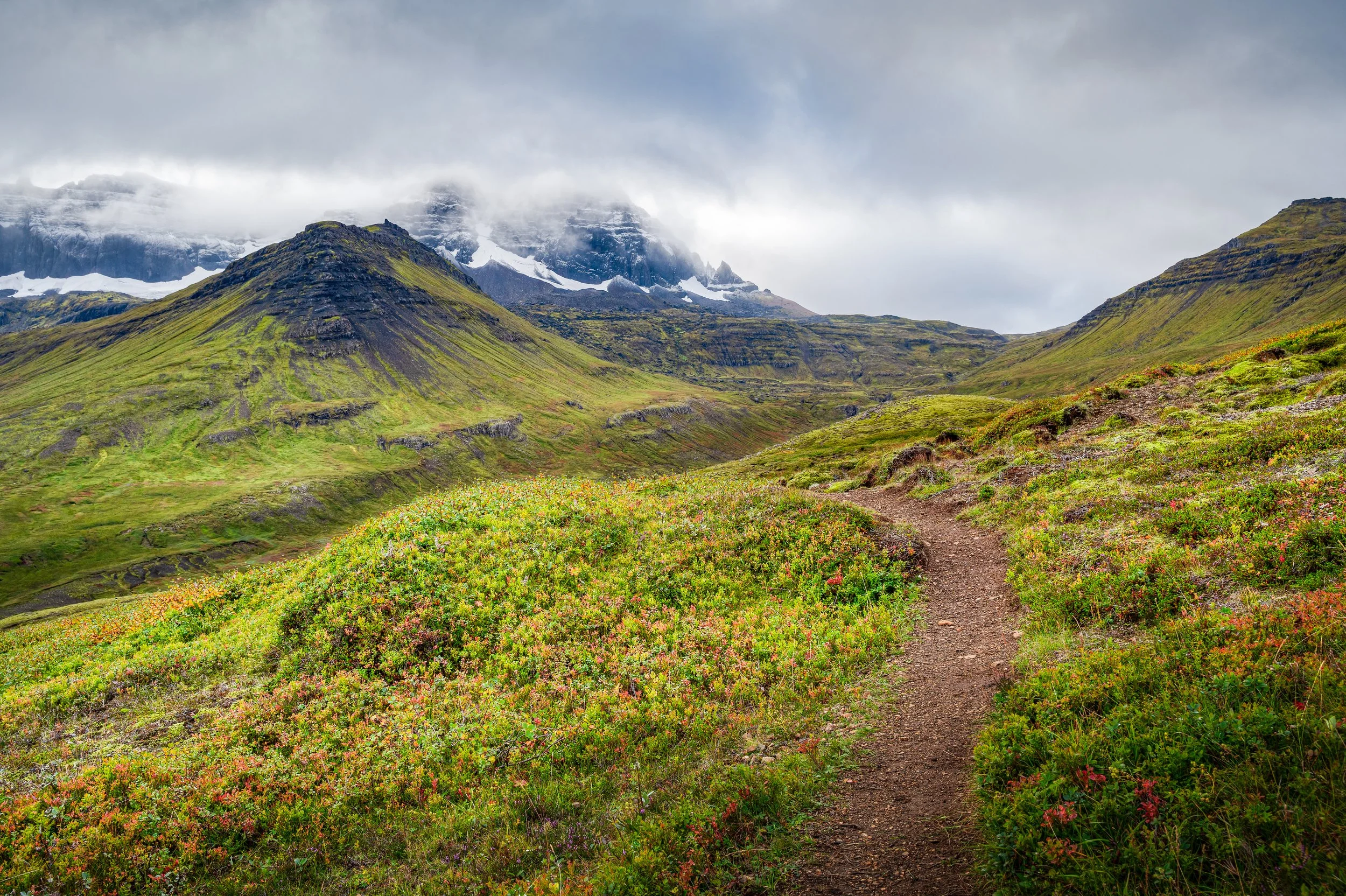 2022-09-15-DSC_6610_-2_-3_Enhancer copie.jpg