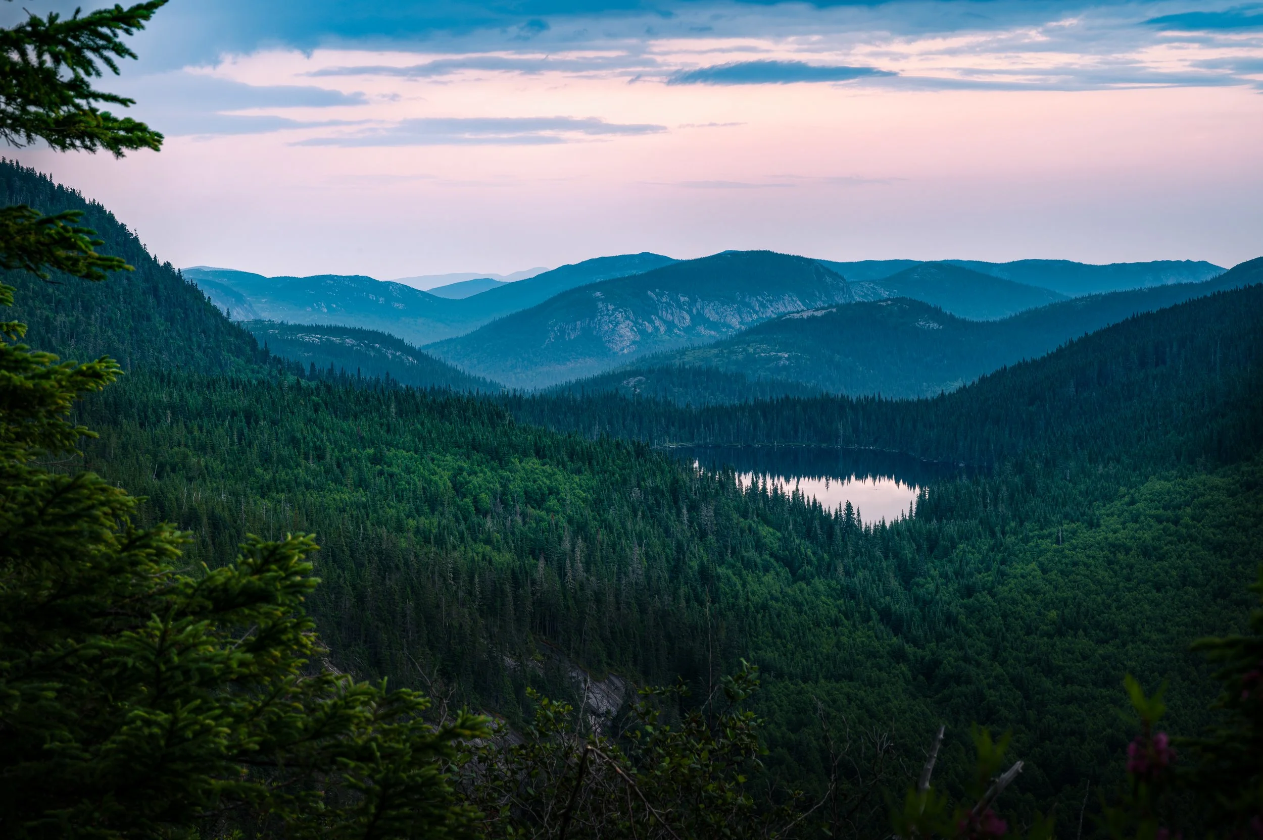 2023-07-20-DSC_7250-Avec accentuation-Bruit_-2_-3_Enhancer.jpg