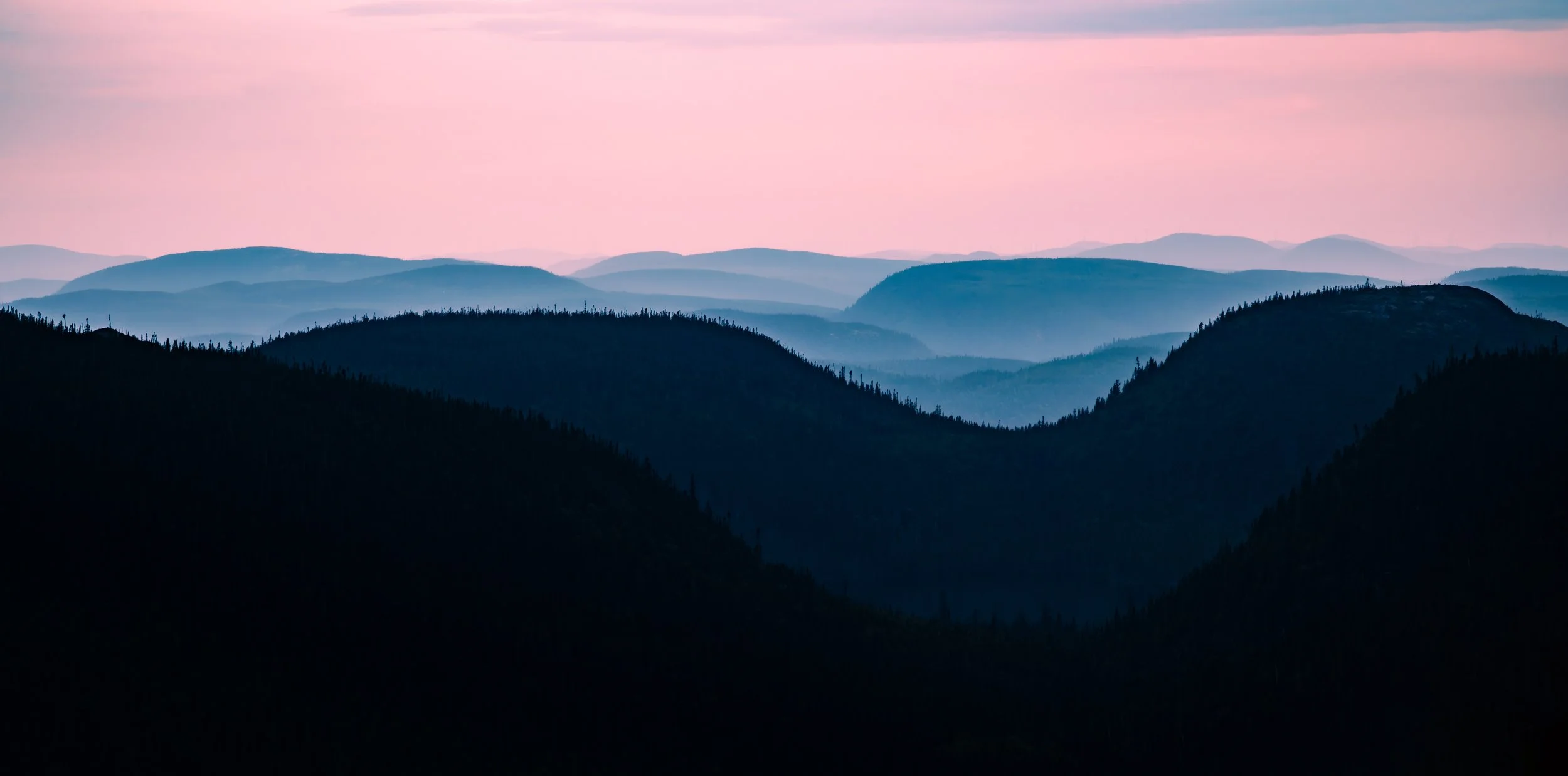 2023-07-20-DSC_7211-Avec accentuation-Bruit.jpg