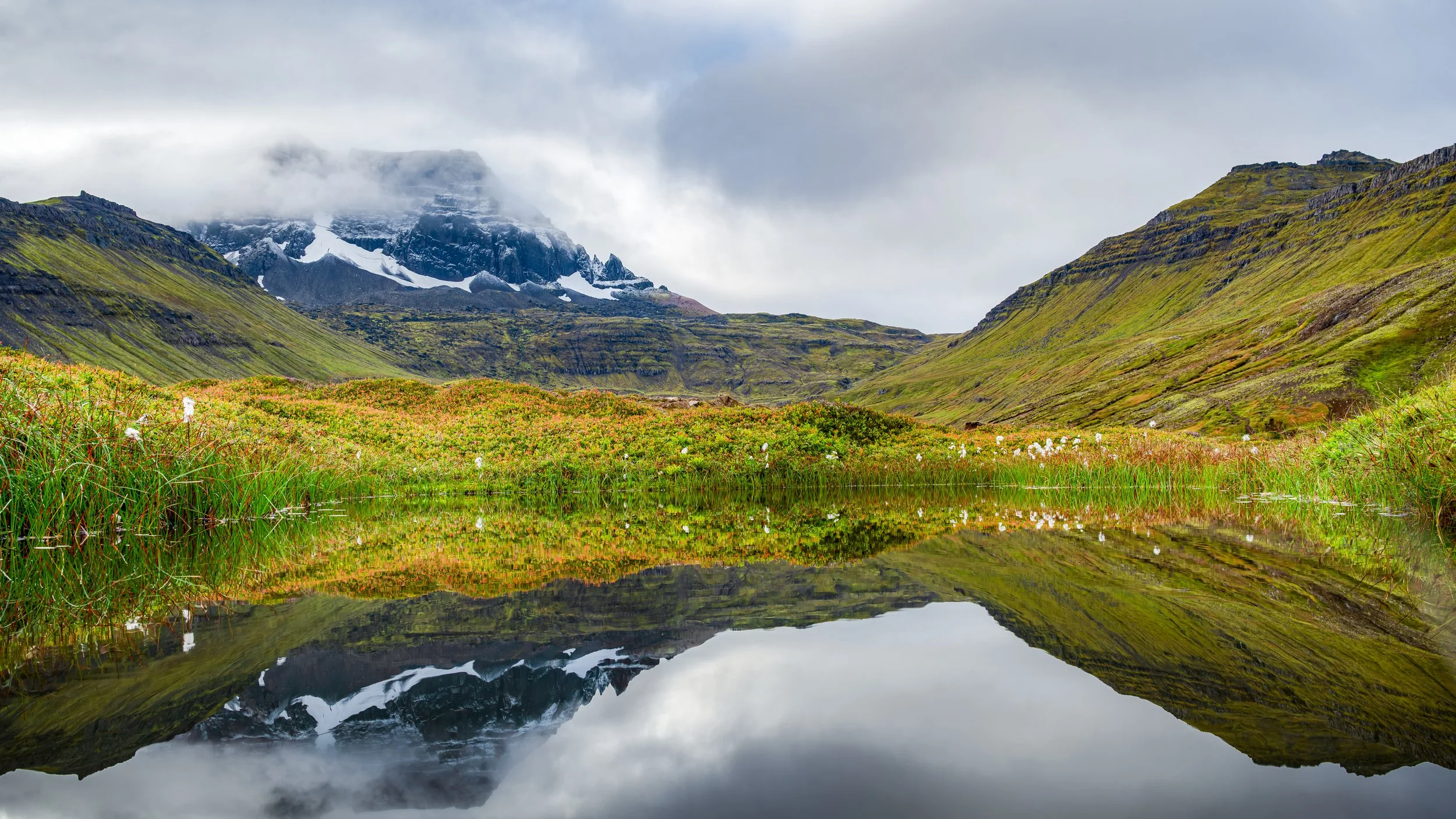 2022-09-15-DSC_6625-Avec accentuation-Bruit_-2_-3_Enhancer.jpg