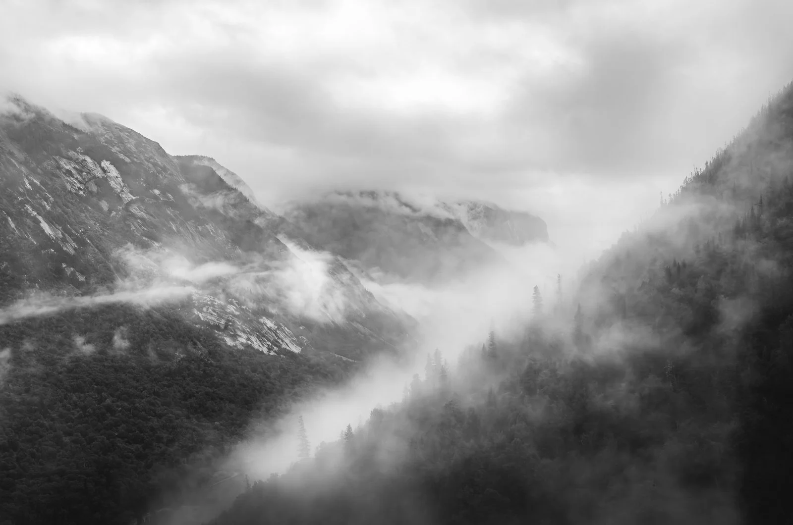 DSC_4739-Avec accentuation-Bruit.jpg