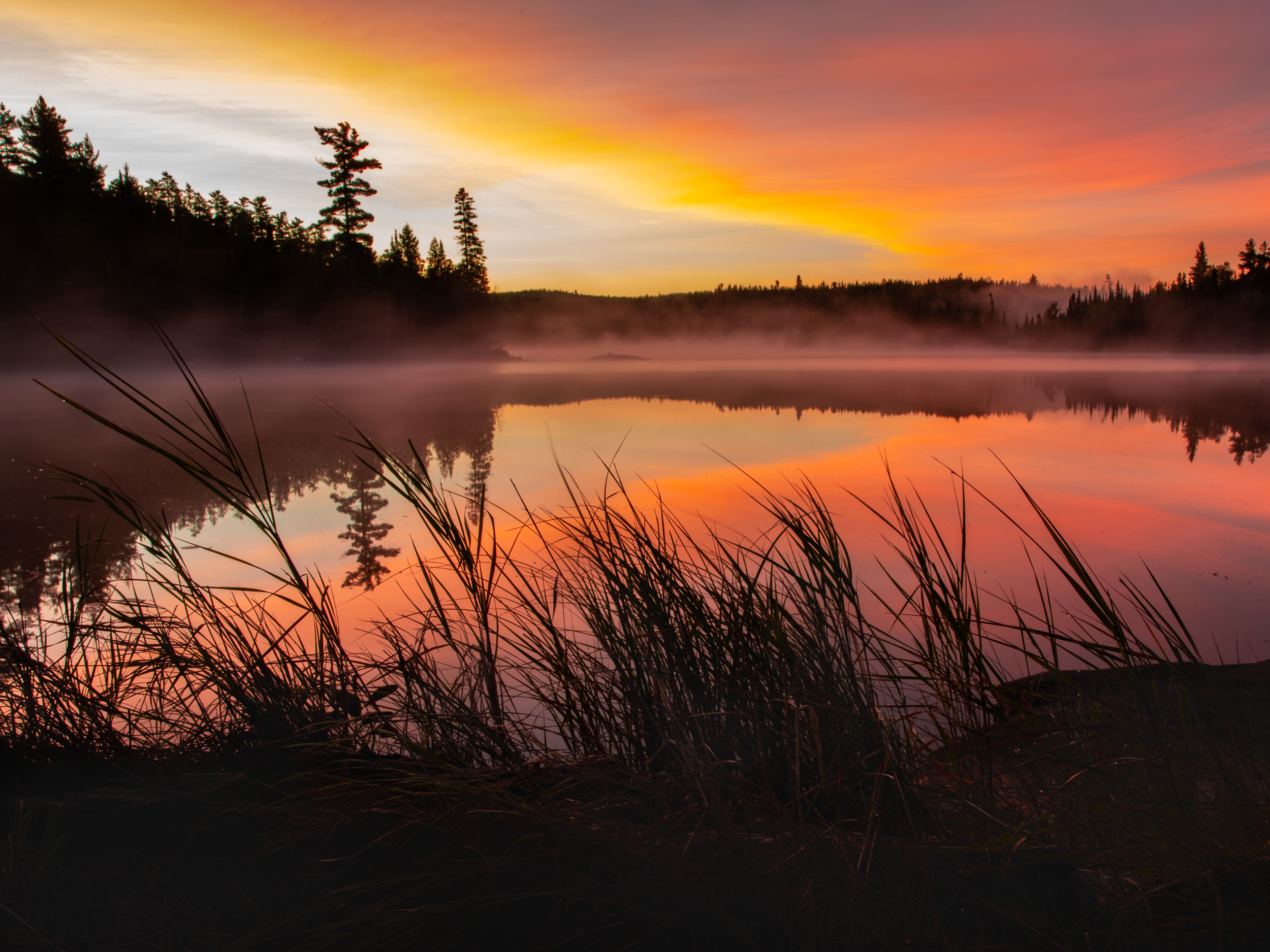 "Peace."  Nestled between two sections of the South Arm of Knife Lake lies the serene Toe Lake.  With white cap waves breaking over the bow of the canoe during the day, we sought refuge for the night on this marshy shore. 