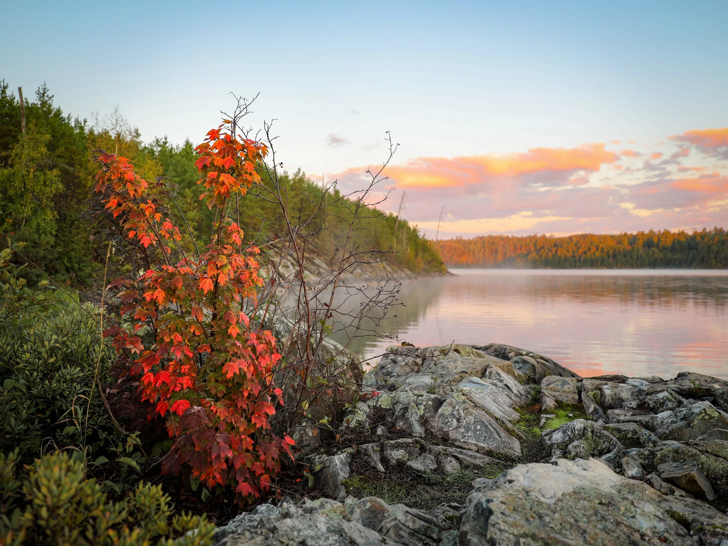 "Changes."  Taken on Knife Lake, BWCA. 