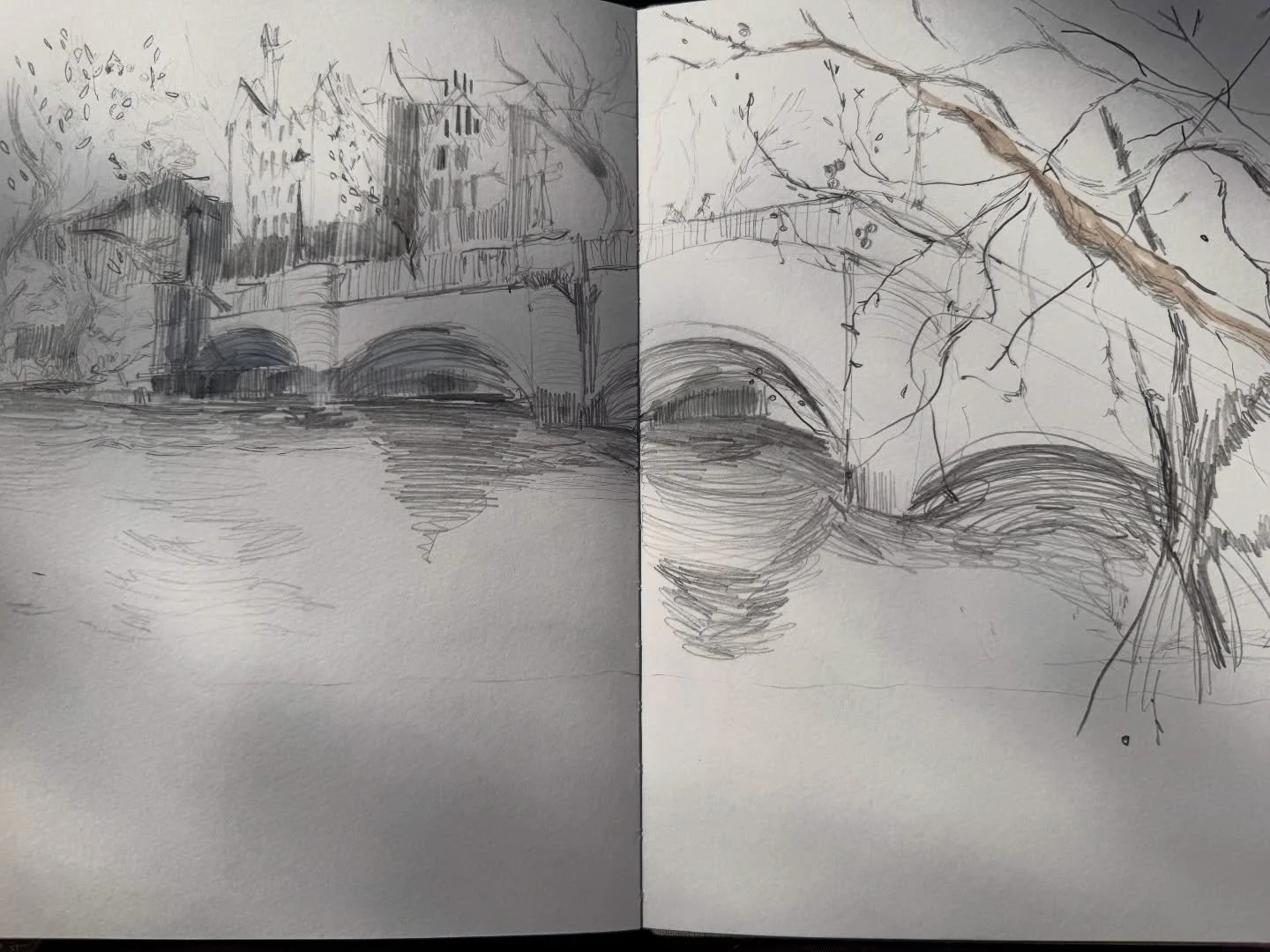 You know it&rsquo;s a beautiful day when there&rsquo;s dappled light all over my sketchbook #walktoseegrowth #walktosee #dailysketch #sketchbook #lifedrawing