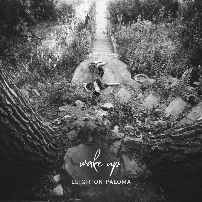 Wake Up (2018) Single