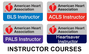 AHA Instructor Class (BLS,HS, ACLS or PALS) — Hands 2 Hearts