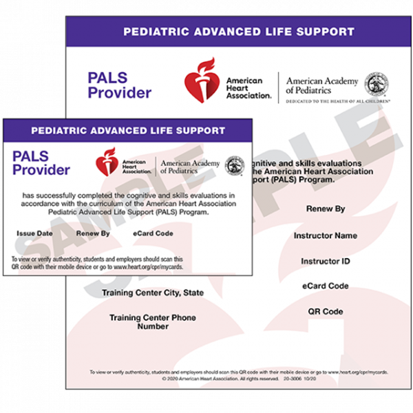 AHA Heartcode PALS (Pediatric Advanced Life Support) — Hands 2 Hearts