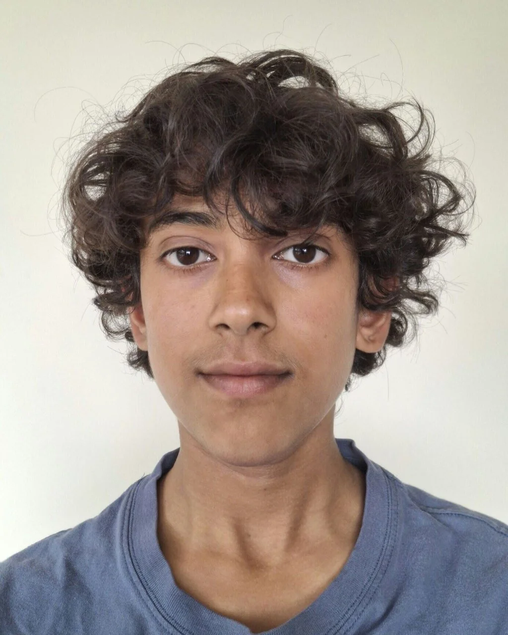 Portrait of a young man with curly brown hair, brown eyes, and light brown skin, wearing a gray t-shirt, standing against a plain light background.