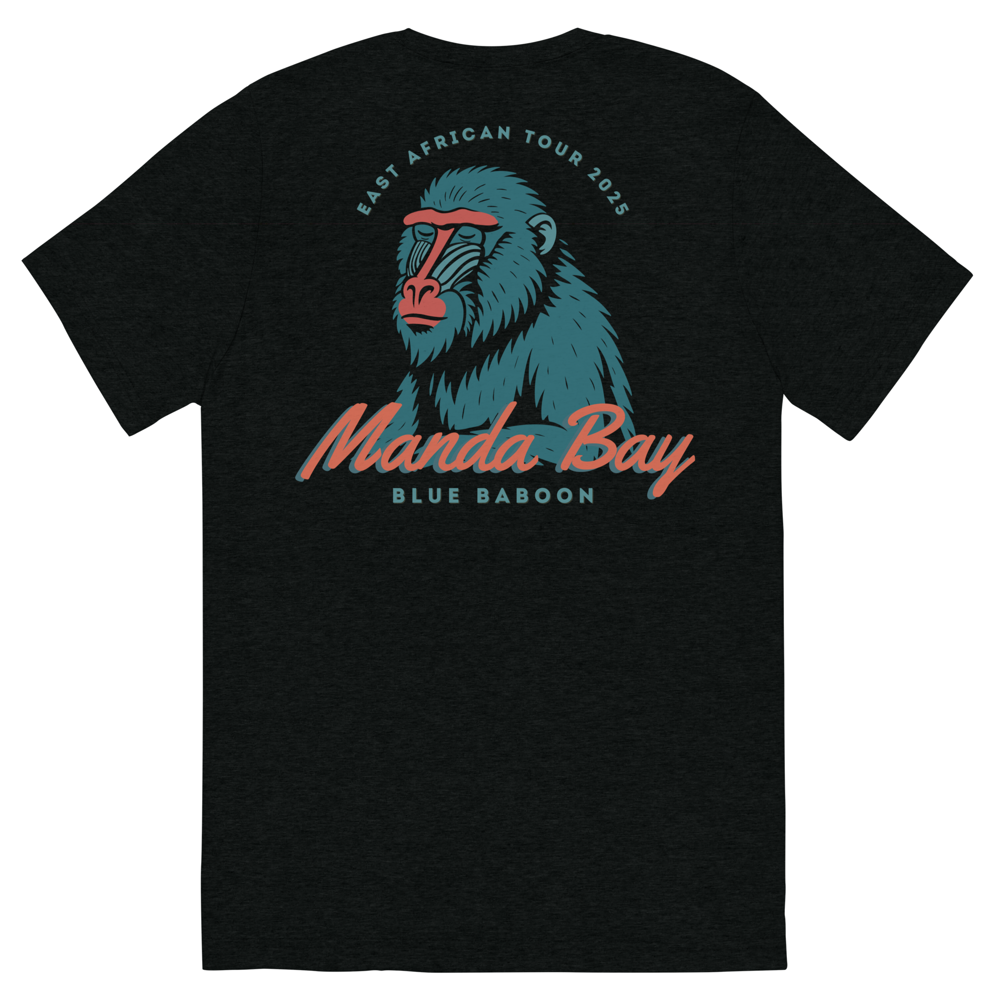 unisex-tri-blend-t-shirt-solid-black-triblend-back-6863d4e4c170d.png
