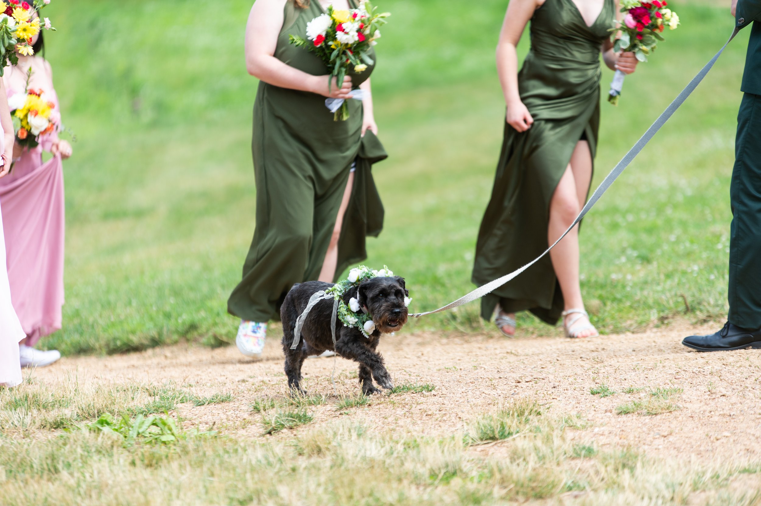 Dog included within the wedding party for couple's wedding day.