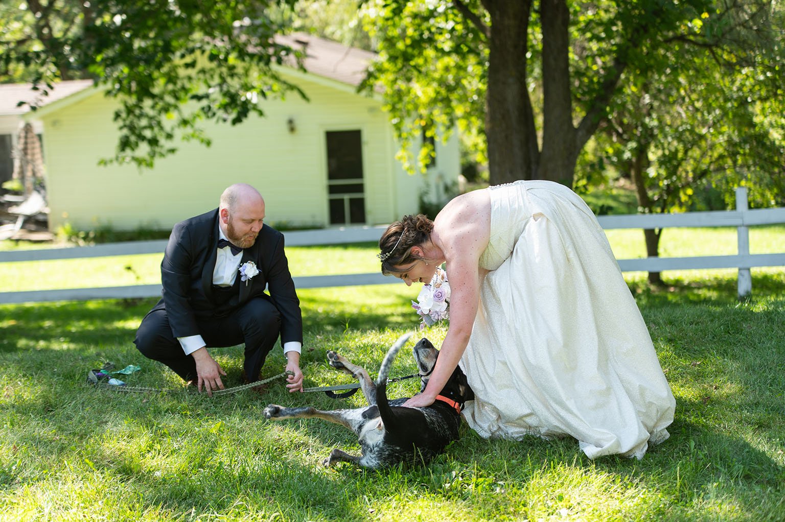 Bluetick Coonhound with couple at wedding at Hope Glen Farm in Cottage Grove, Minnesota.