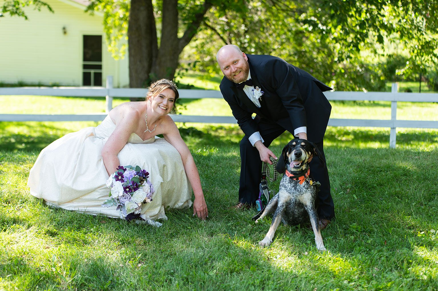 Bride and groom and their dog at the Hope Glen Farm in Cottage Grove, Minnesota.