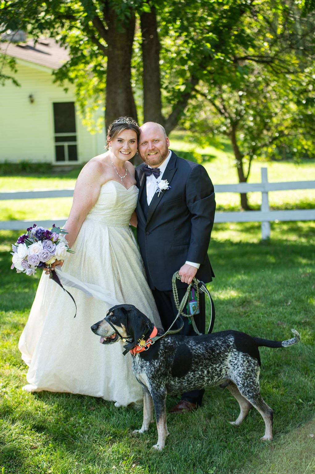 Bluetick Coonhound with couple at wedding at Hope Glen Farm in Cottage Grove, Minnesota.