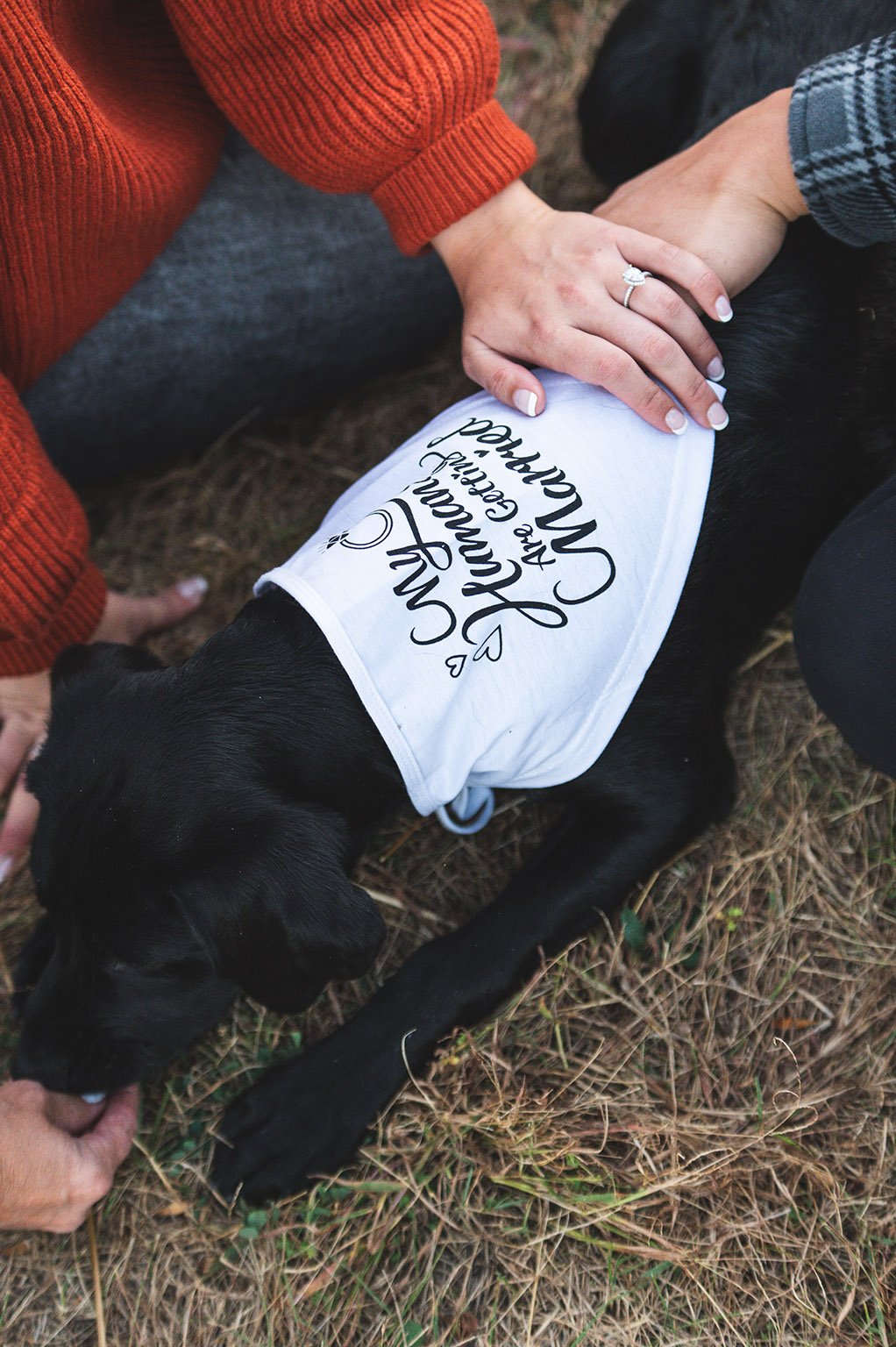 Fall engagement photos with couple and black lab. Close up photo of the engagement ring.