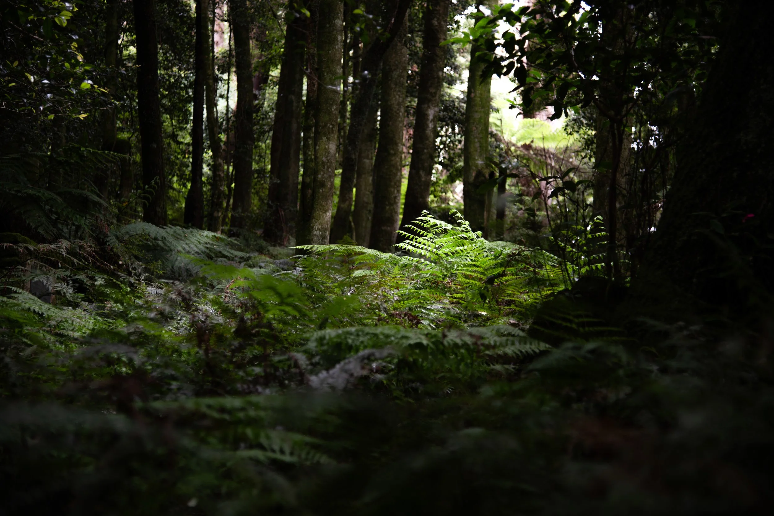 Deep in the Mountain