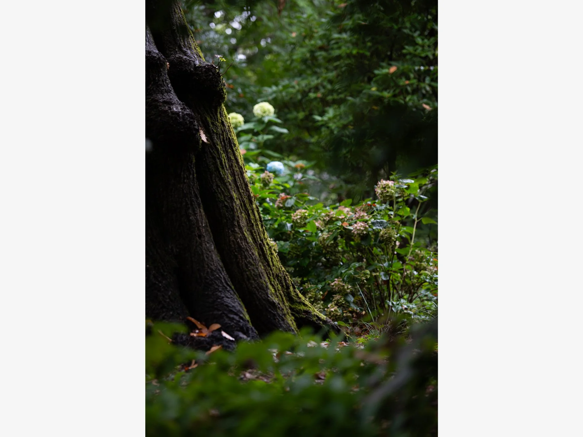 Secret Sanctuary