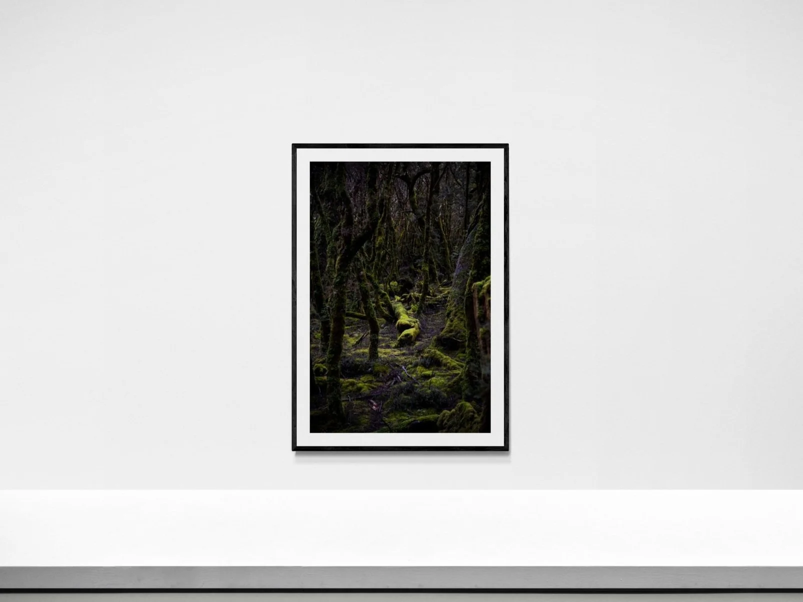 Framed photograph of a mossy forest scene with twisted tree trunks and dense greenery on a white wall.