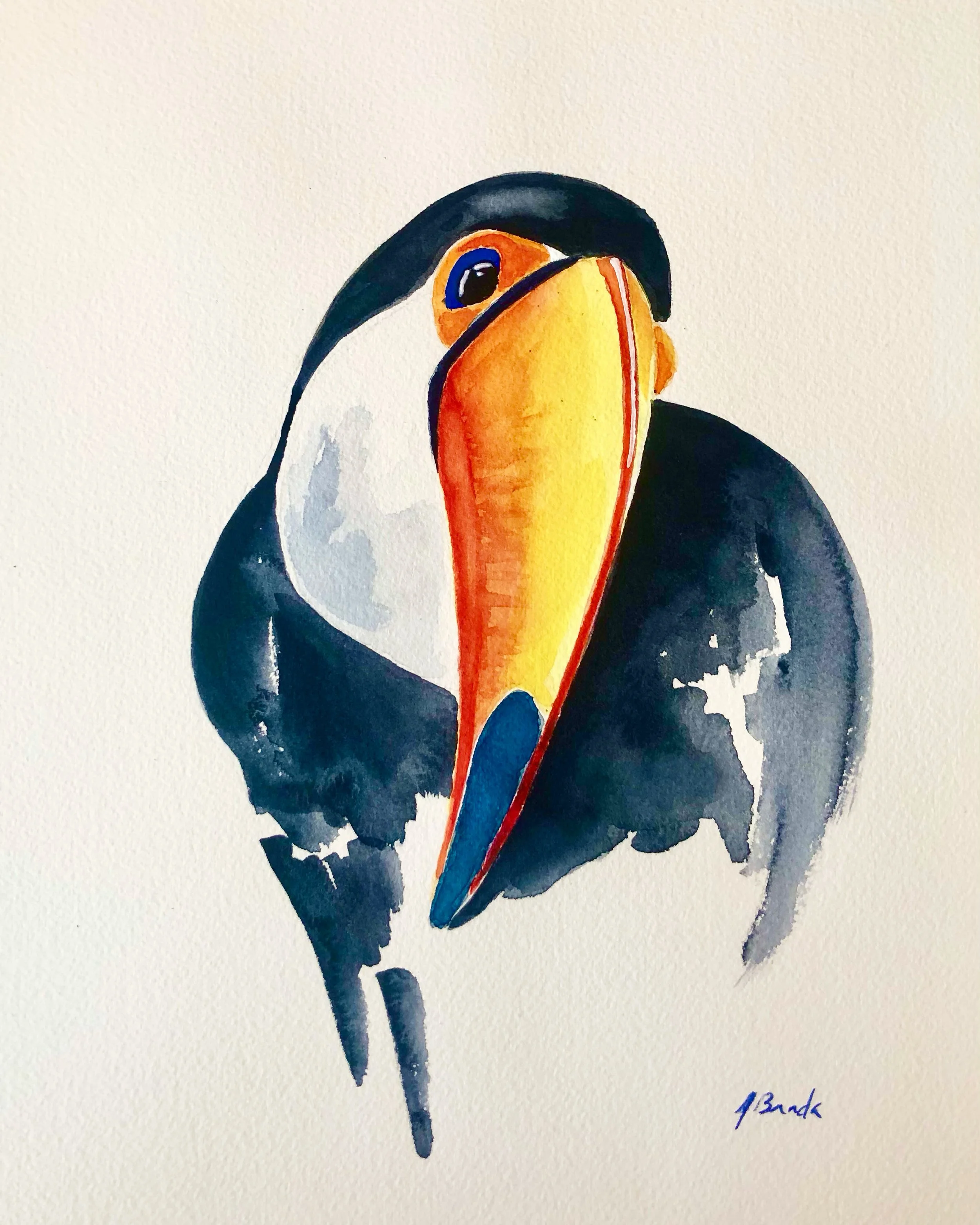 Toucan, Watercolor, 9x12.JPG