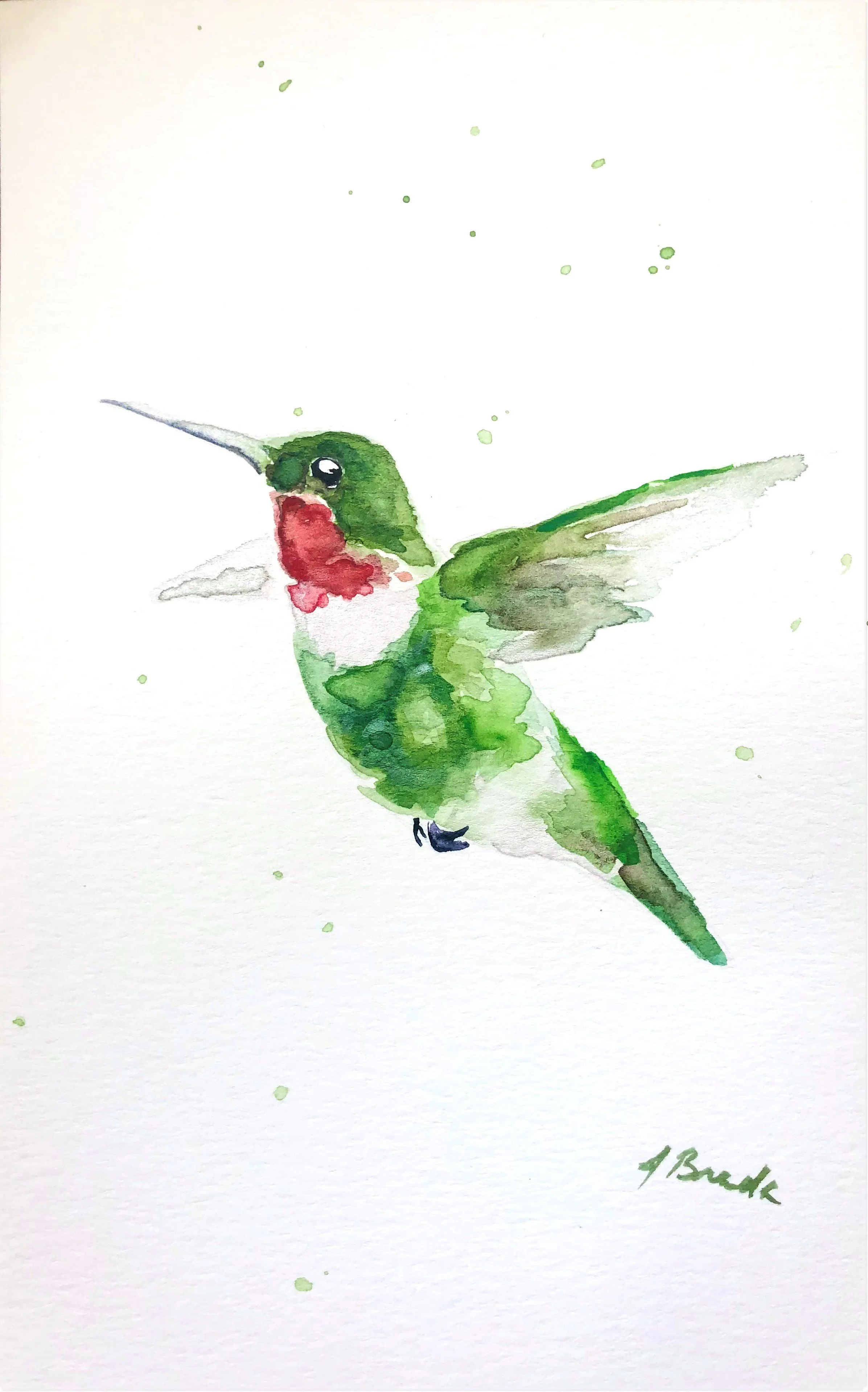 Hummingbird.jpg