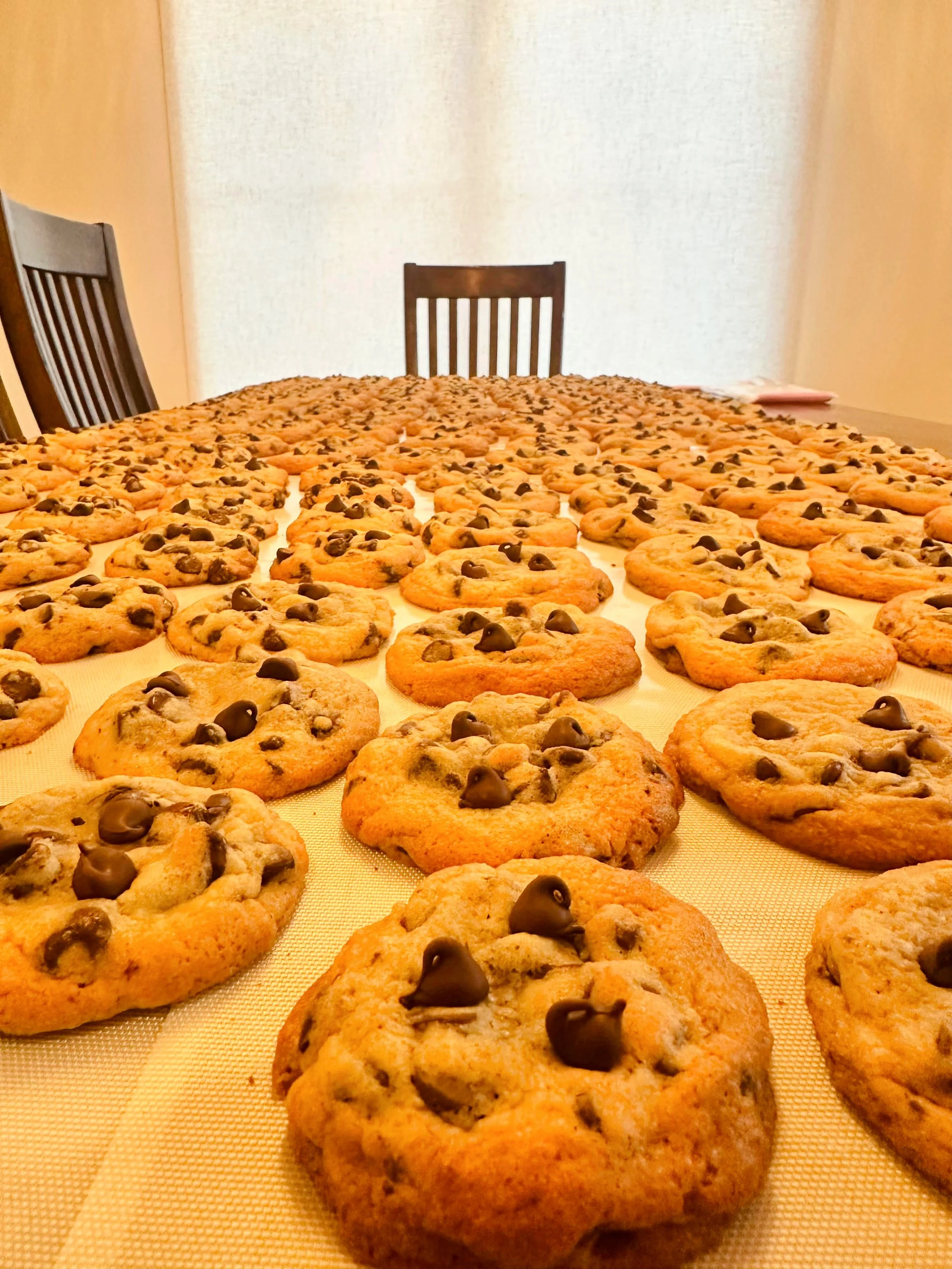 Cookie for a Cause