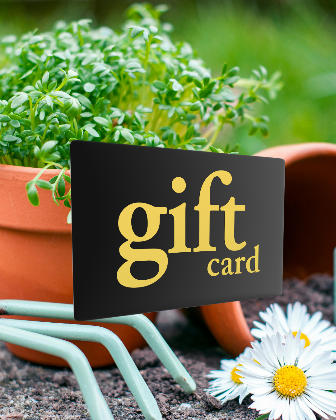 Gift Card.png