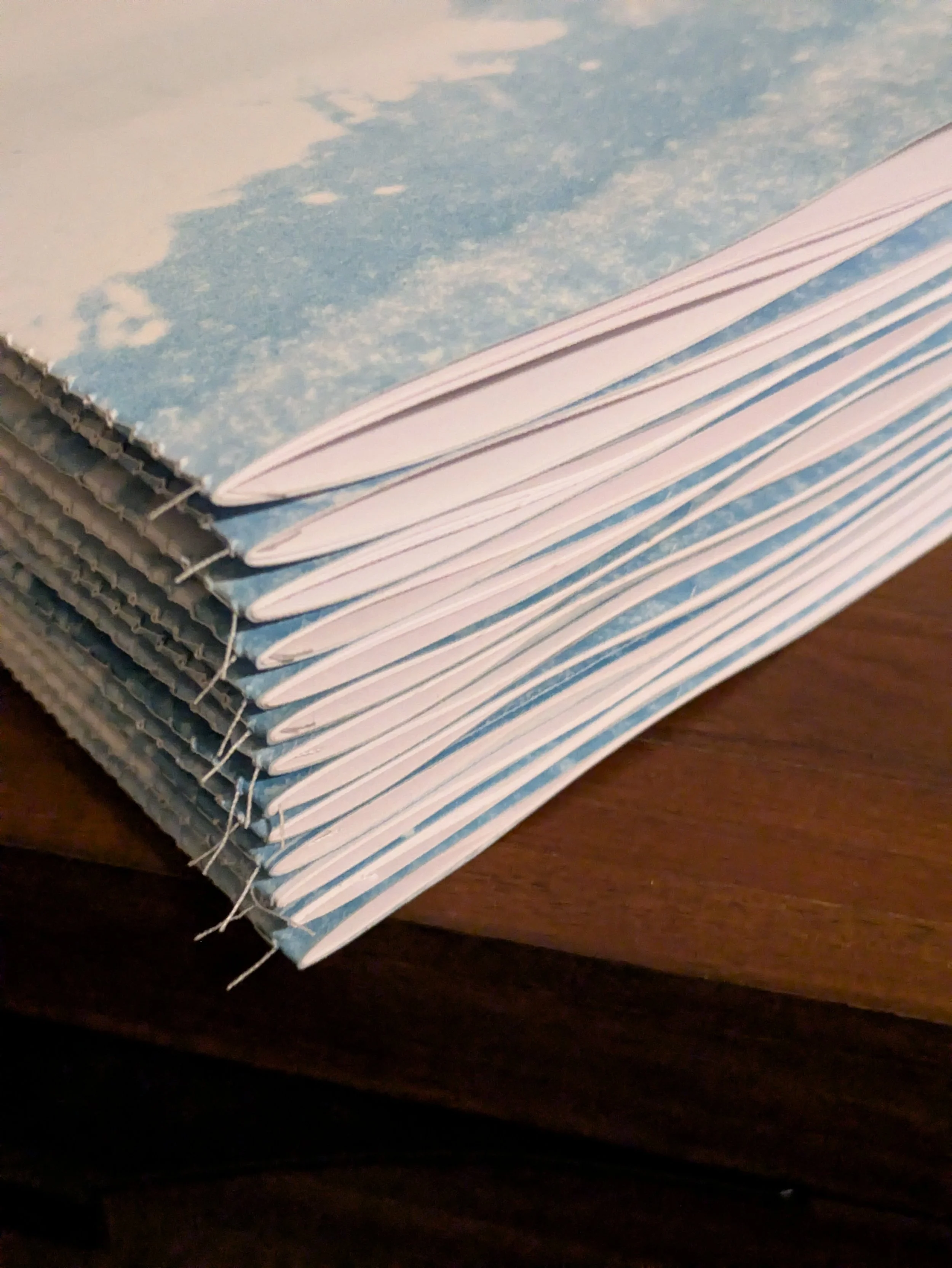 The cover of each zine is cyanotyped then the spine has been machine stitched. 