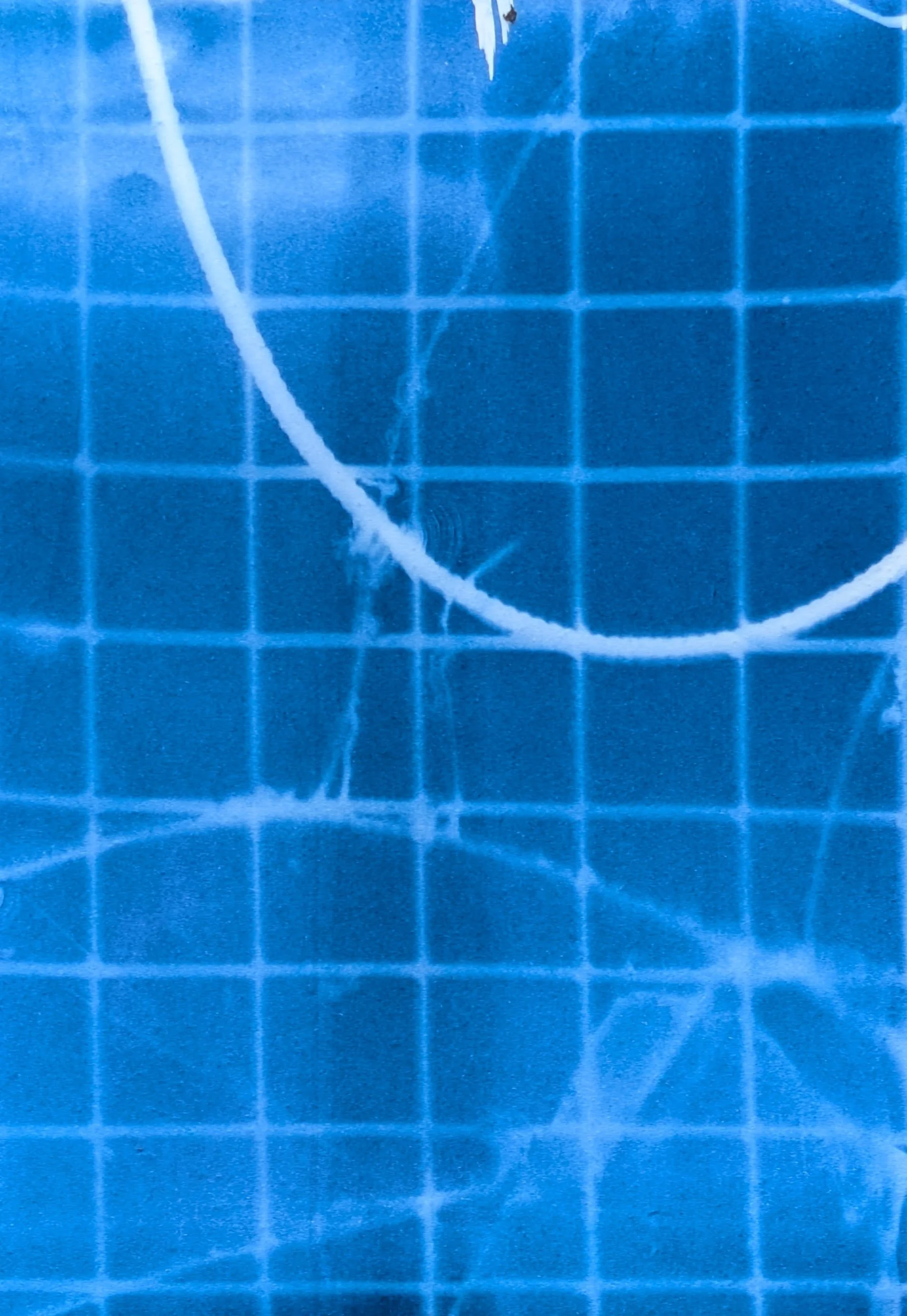 PXL_20260413_160023020.jpg
