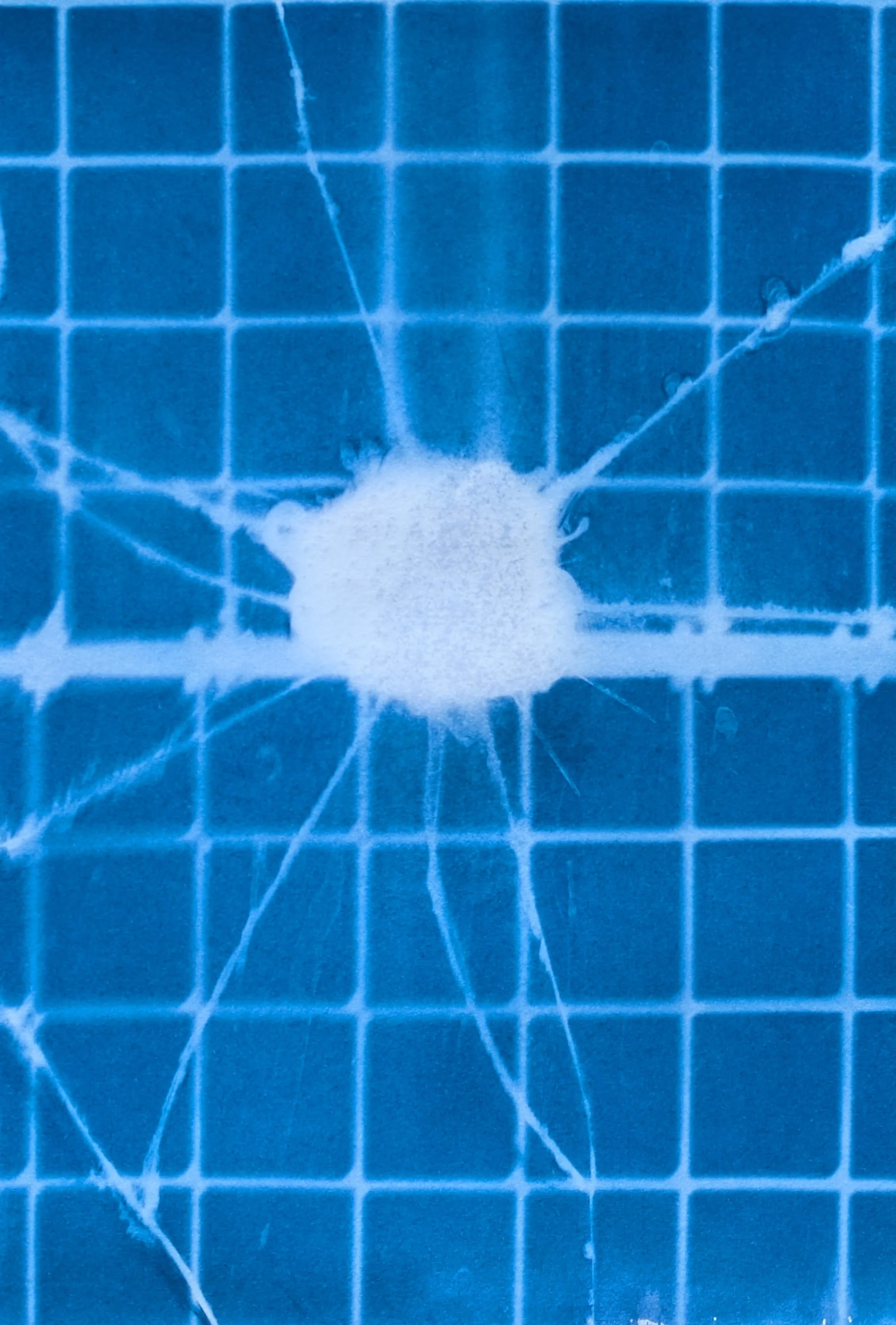 original_a1771d77-576a-4799-bec3-430513936eb4_PXL_20260413_155251299.jpg