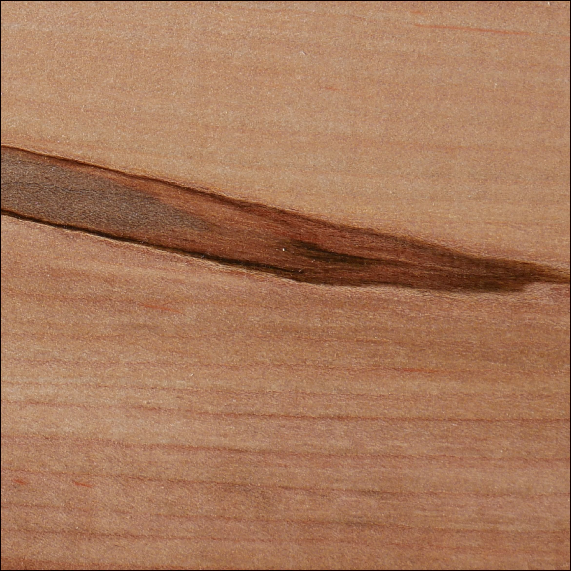 AmbrosiaMaple.jpg