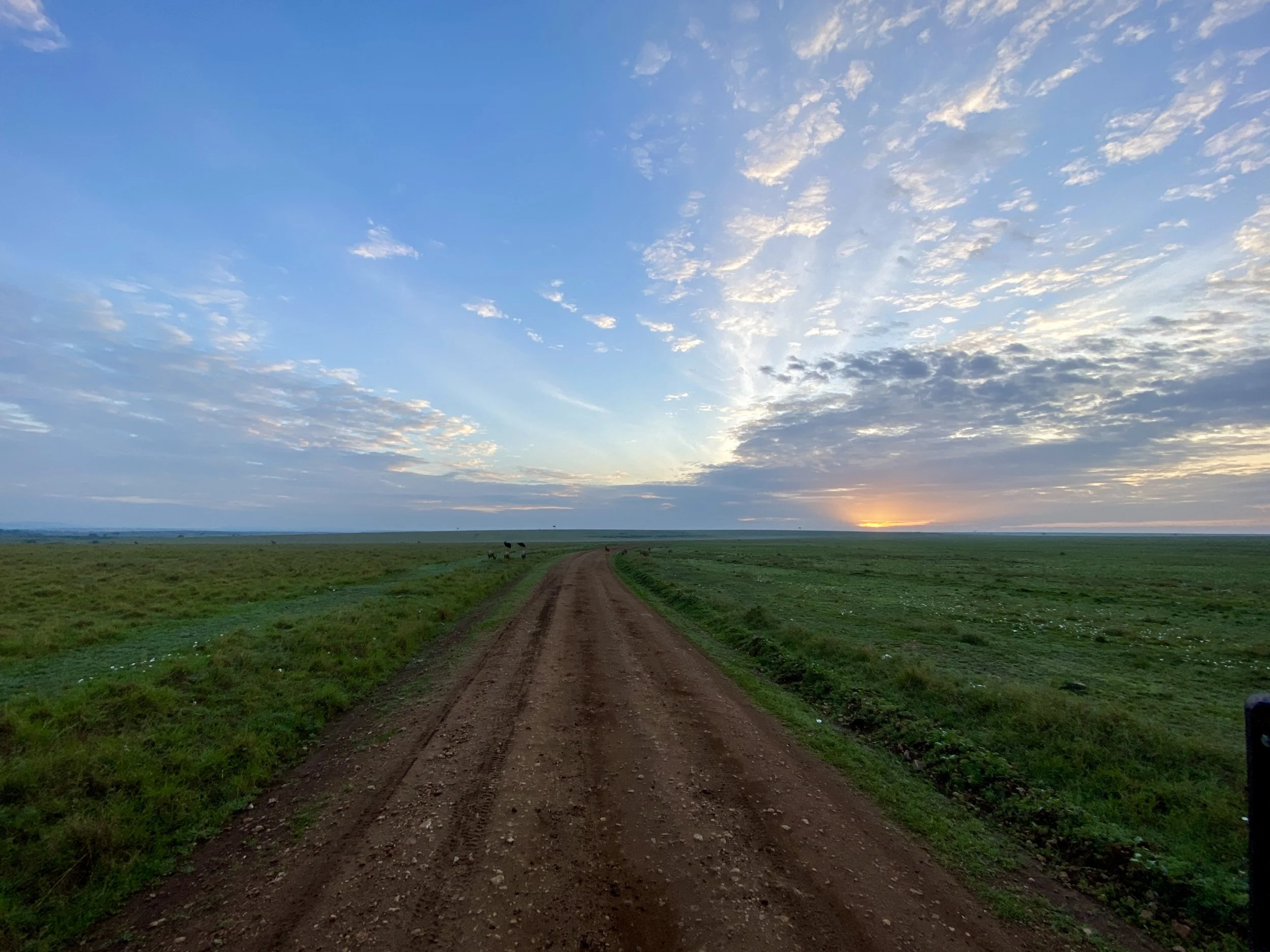 A dirt road in Kenya running through a vast green field during sunset with a partly cloudy sky.