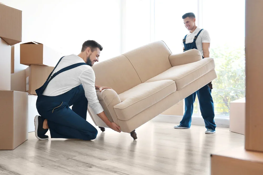 Couch Removal