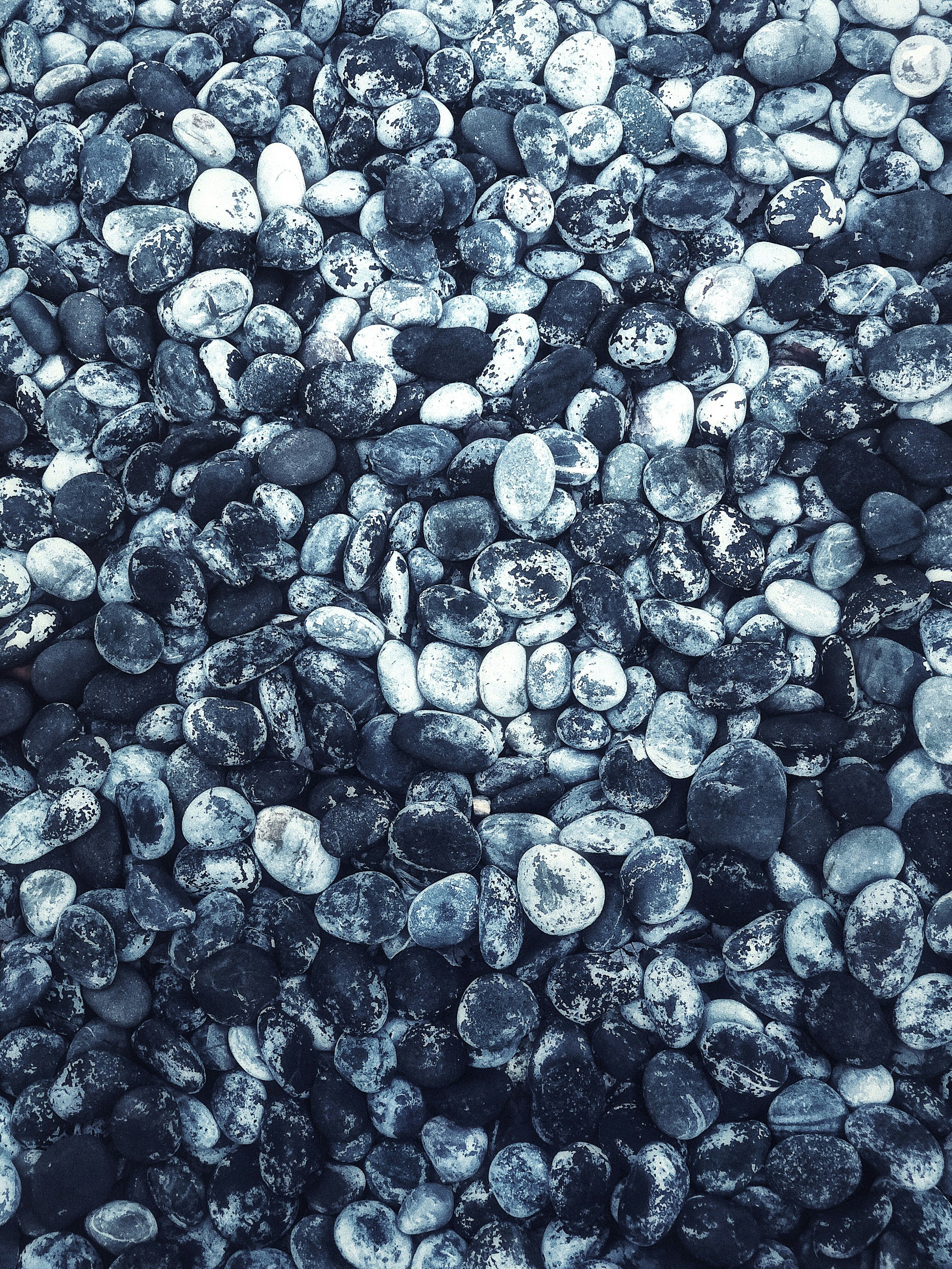 brian-patrick-tagalog-hSGCSeYip_8-unsplash.jpg