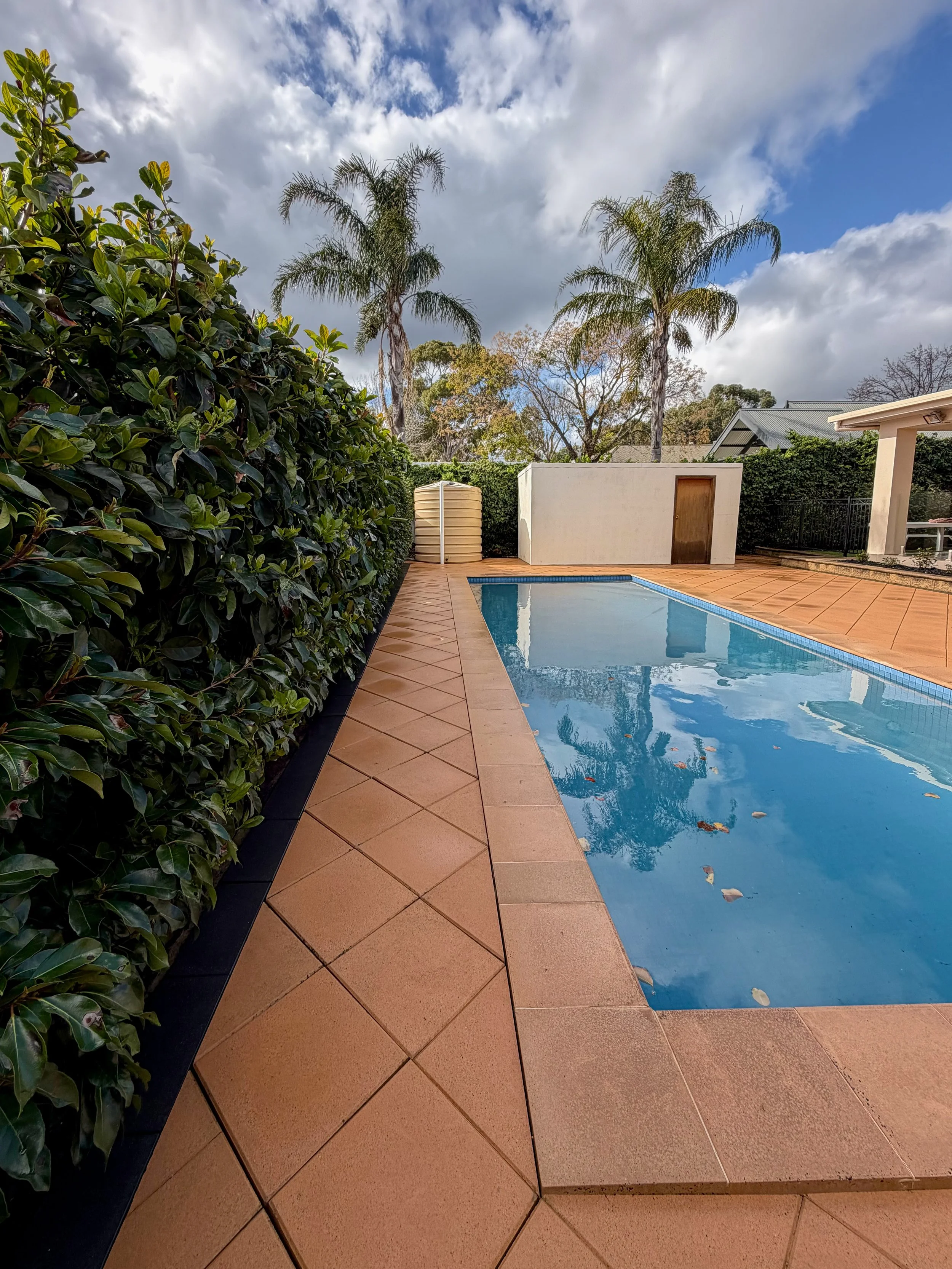 Outdoor swimming pool with tile surround, surrounded by greenery including tall palm trees and bushes, under a partly cloudy sky.