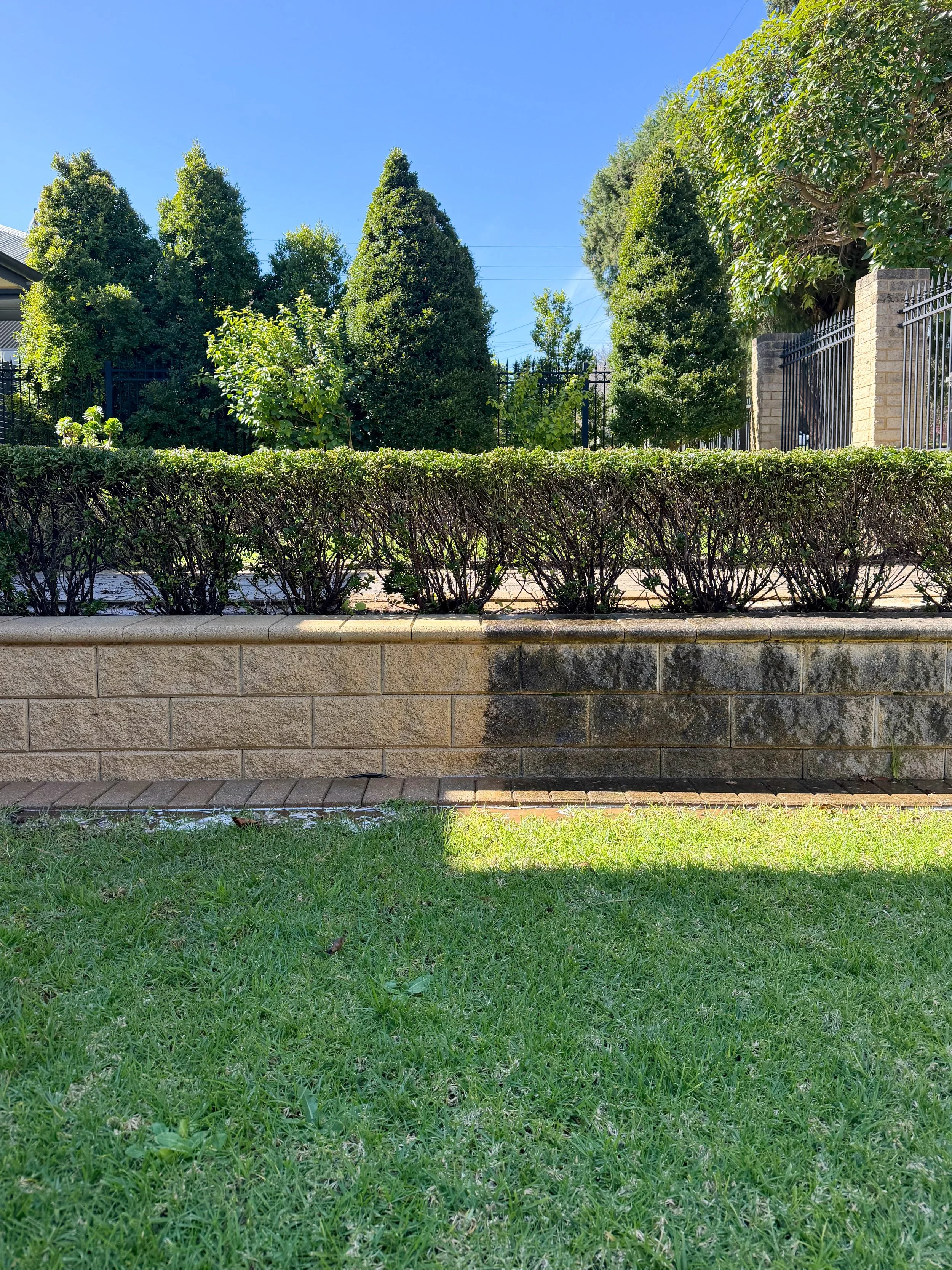 A landscaped backyard with a low stone wall in the foreground, a lawn with green grass, a row of neatly trimmed bushes, several tall leafy trees, a black metal fence, and a bright blue sky.