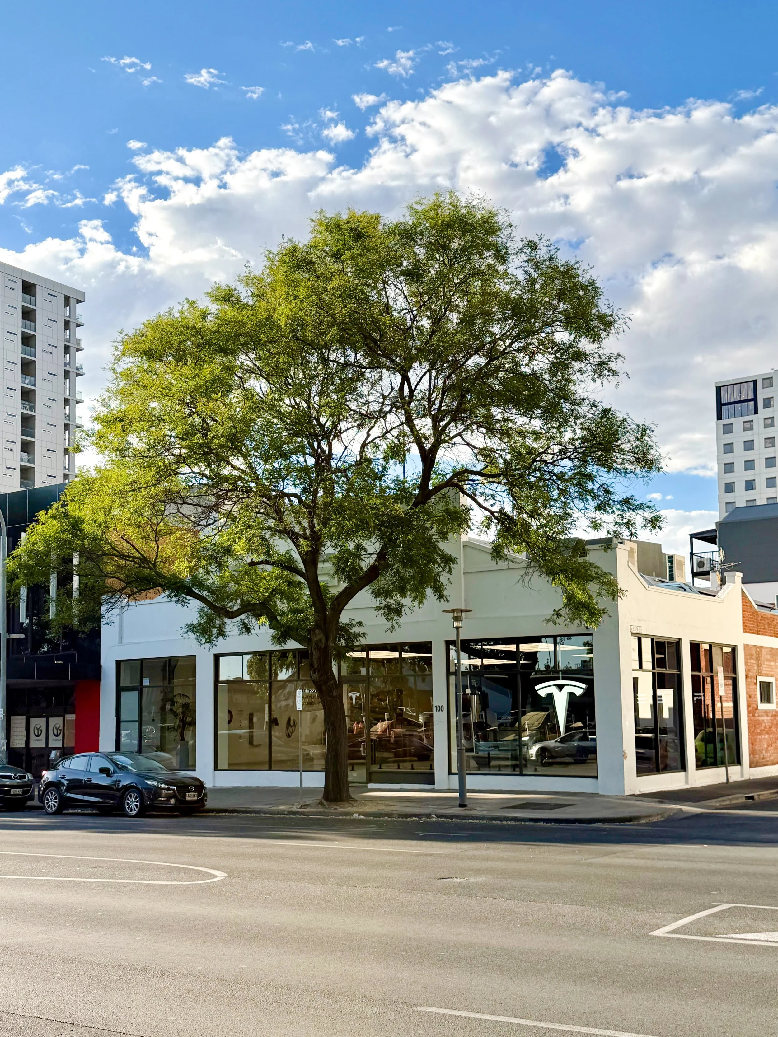 TESLA SHOWROOM