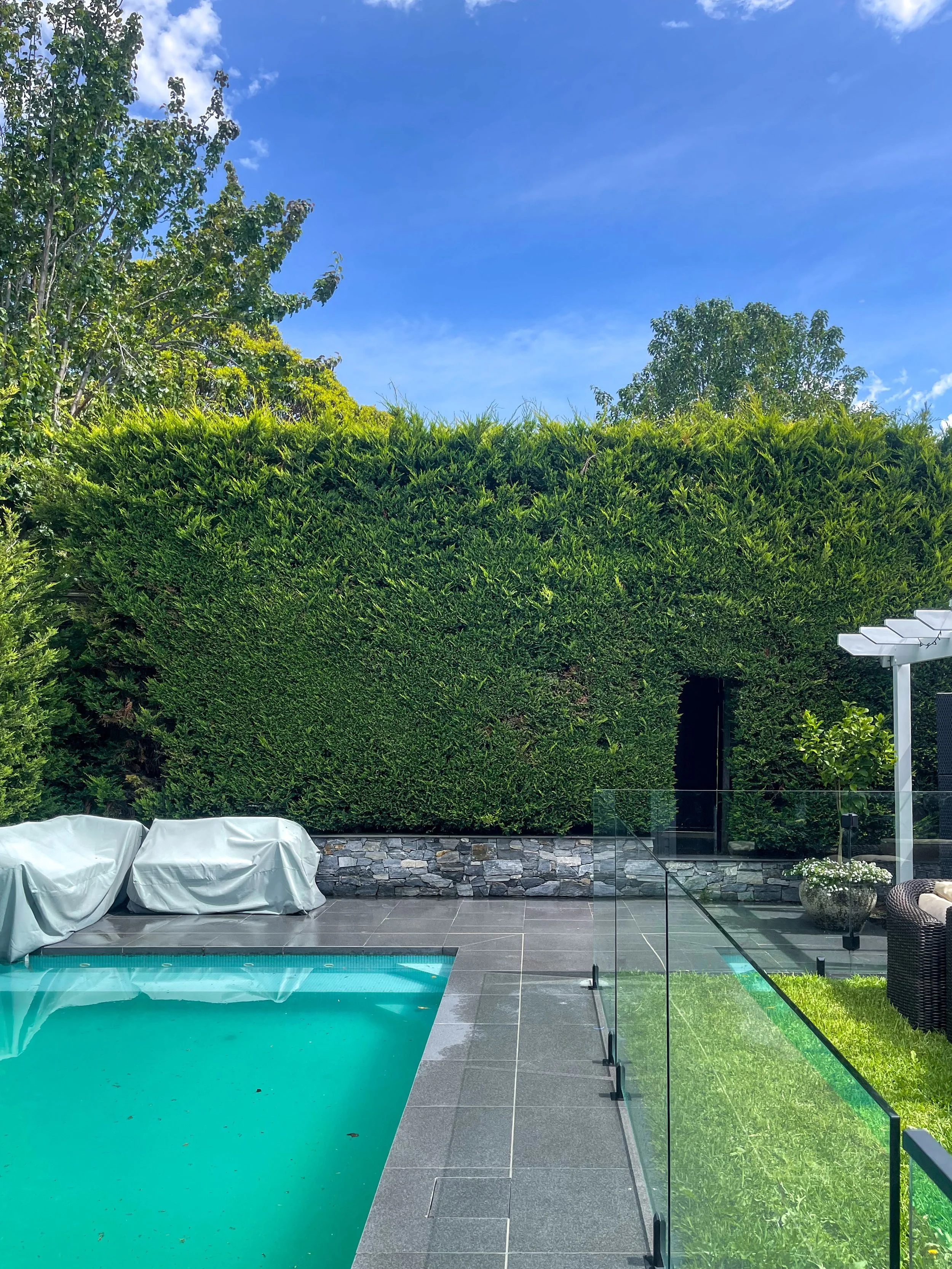 Luxury residential pool surround cleaning Melbourne — SUDS Group pressure washing service