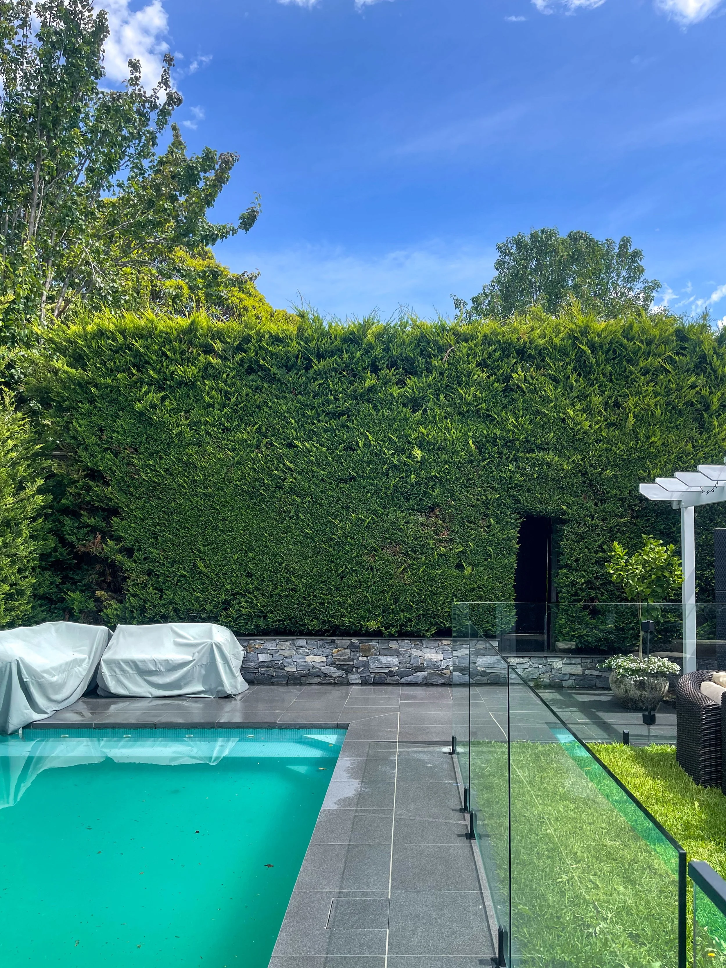 View of an outdoor patio next to a swimming pool, enclosed by glass fencing, with green trees and bushes in the background under a clear blue sky.