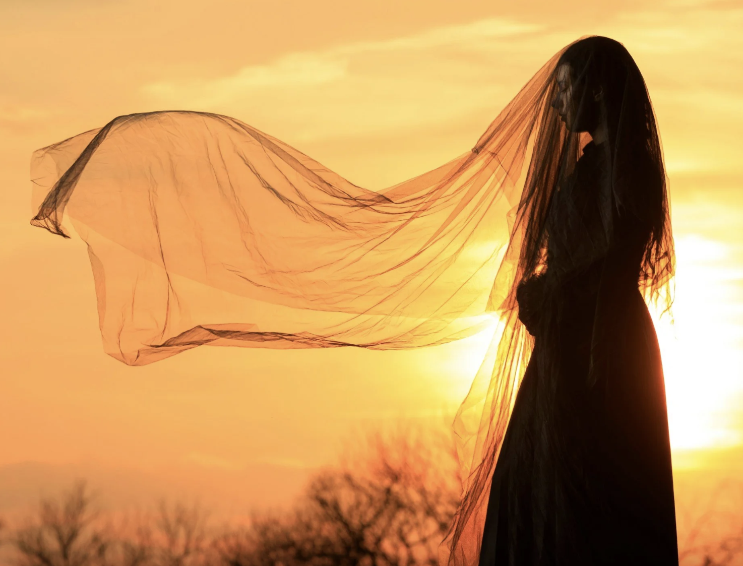 Top 10 Online Communities for Widows: Finding Connection