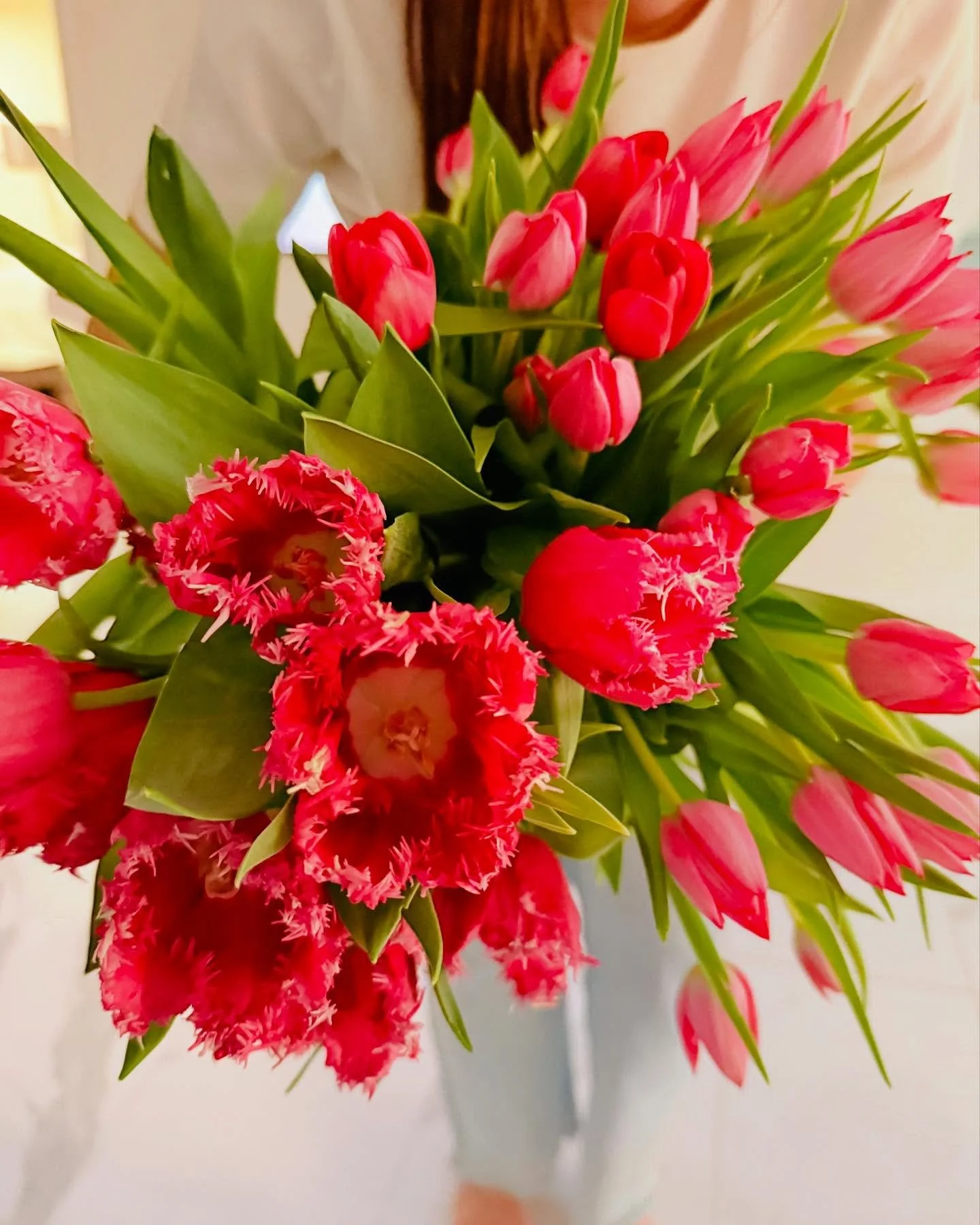 Say hello to these beautiful parrot tulips!🌷 🌷🌷##bloomedandrooted #winterparkflorist #parrottulips