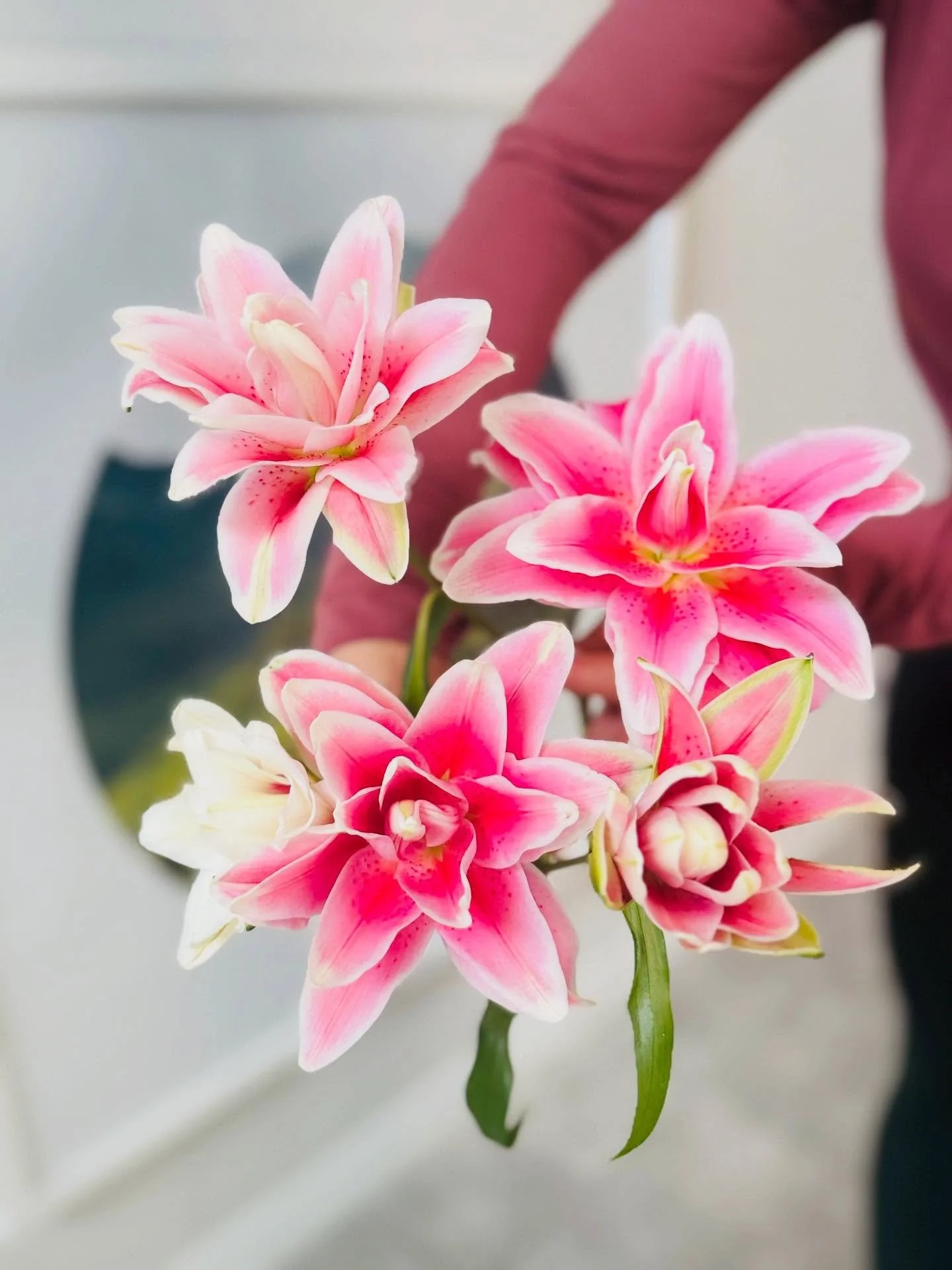 Currently in season, meet Miss Roselilly! 🌸 
#bloomedandrooted #roselilly #winterparkflorist #hotpink