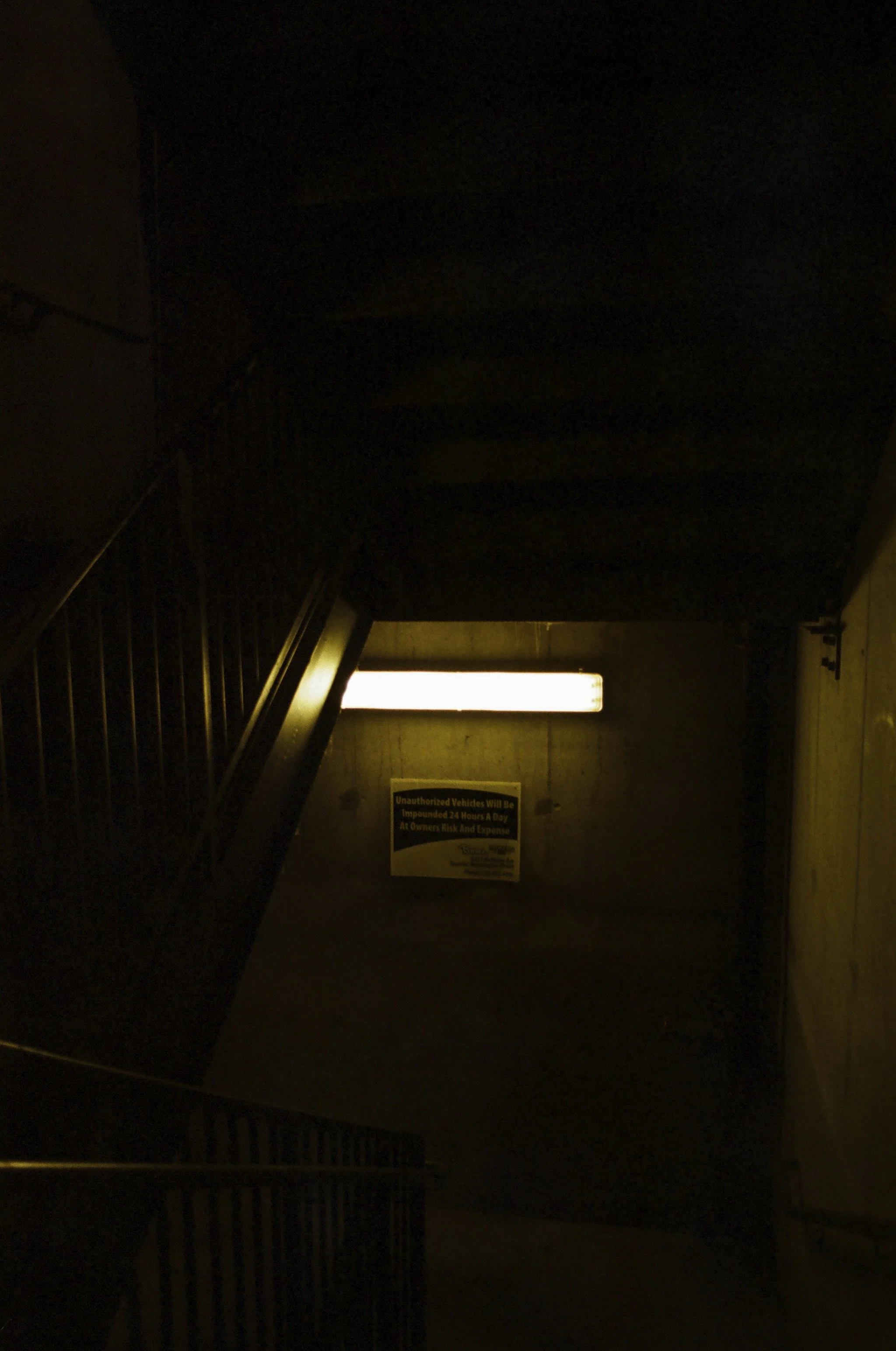 Expired Fuji 100 (shot at 25) 