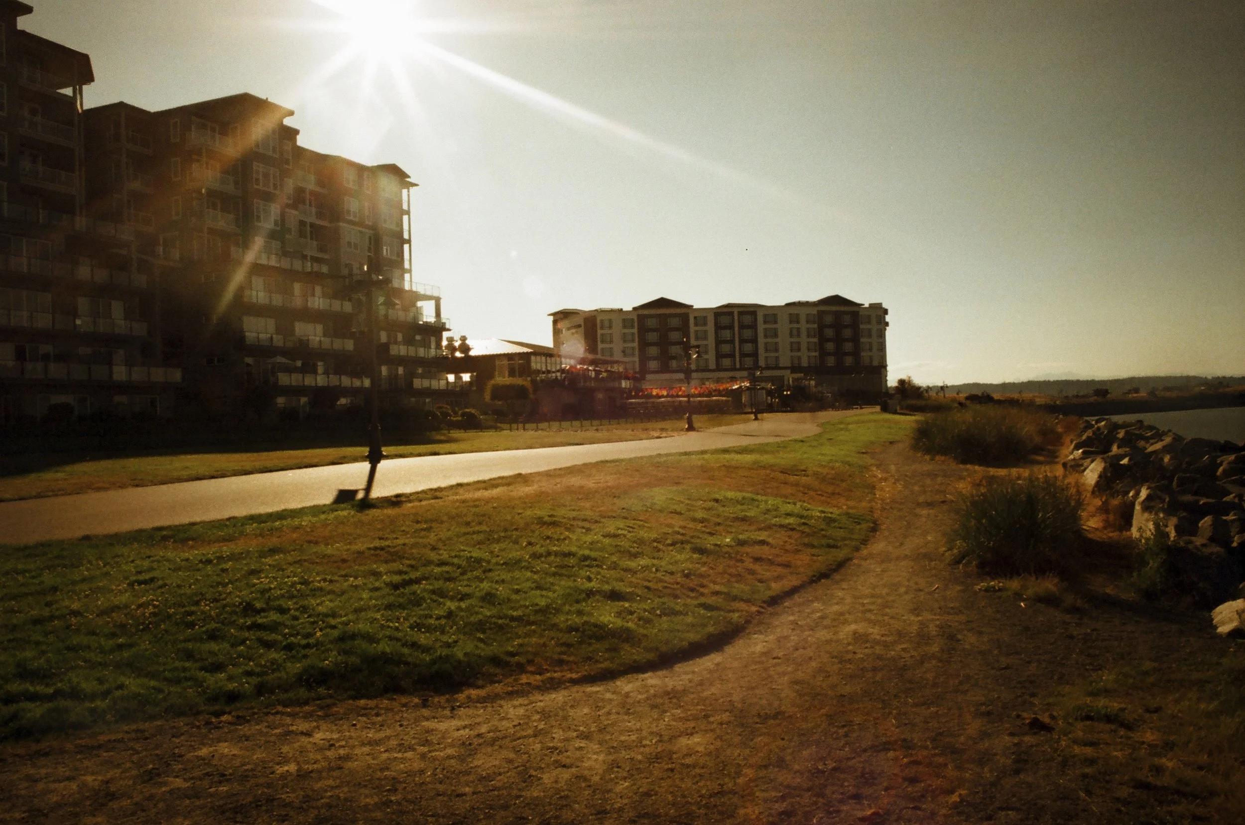 Expired Fuji 100 (shot at 25) 