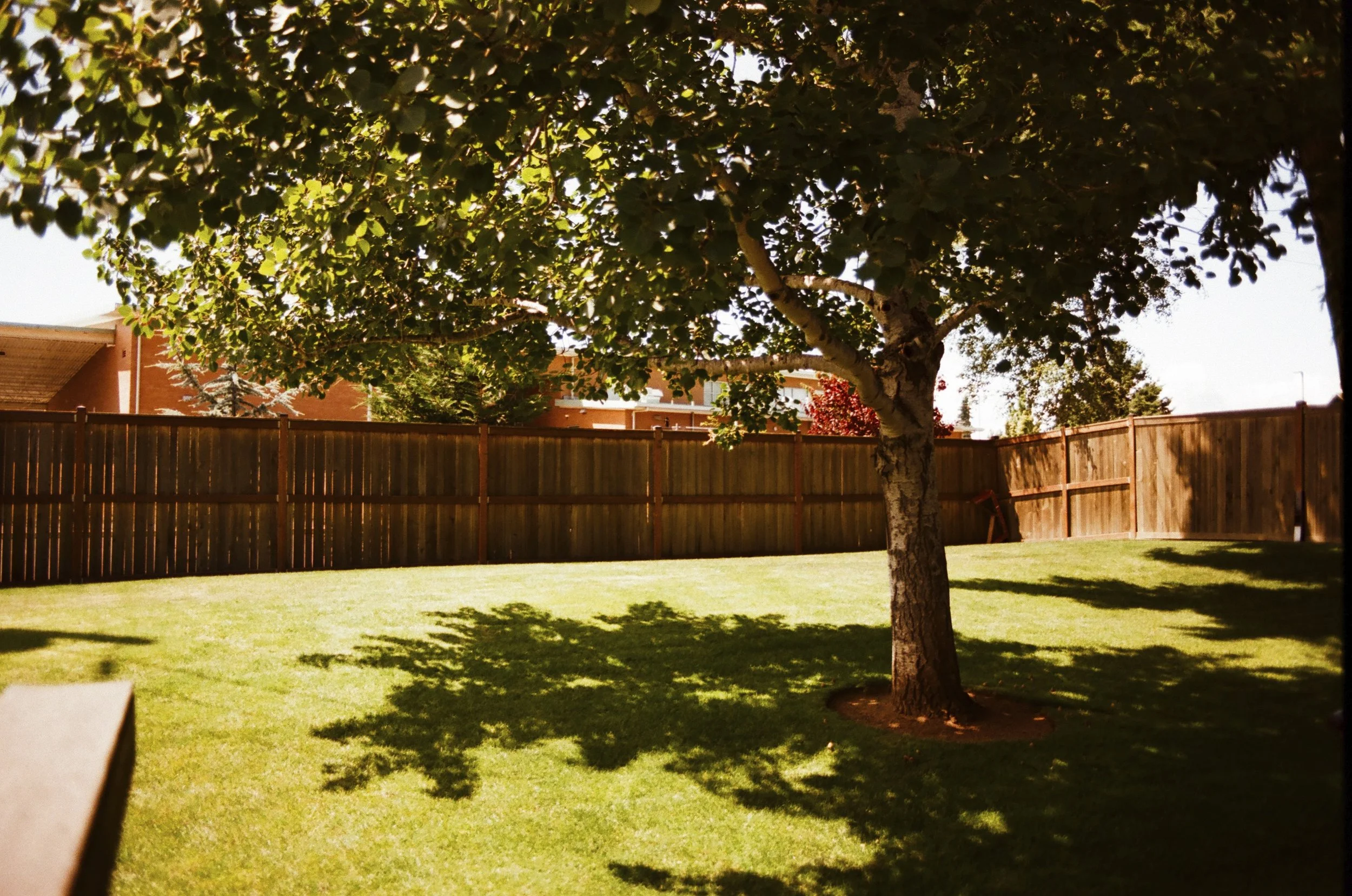 Expired Fuji 100 (shot at 25) 